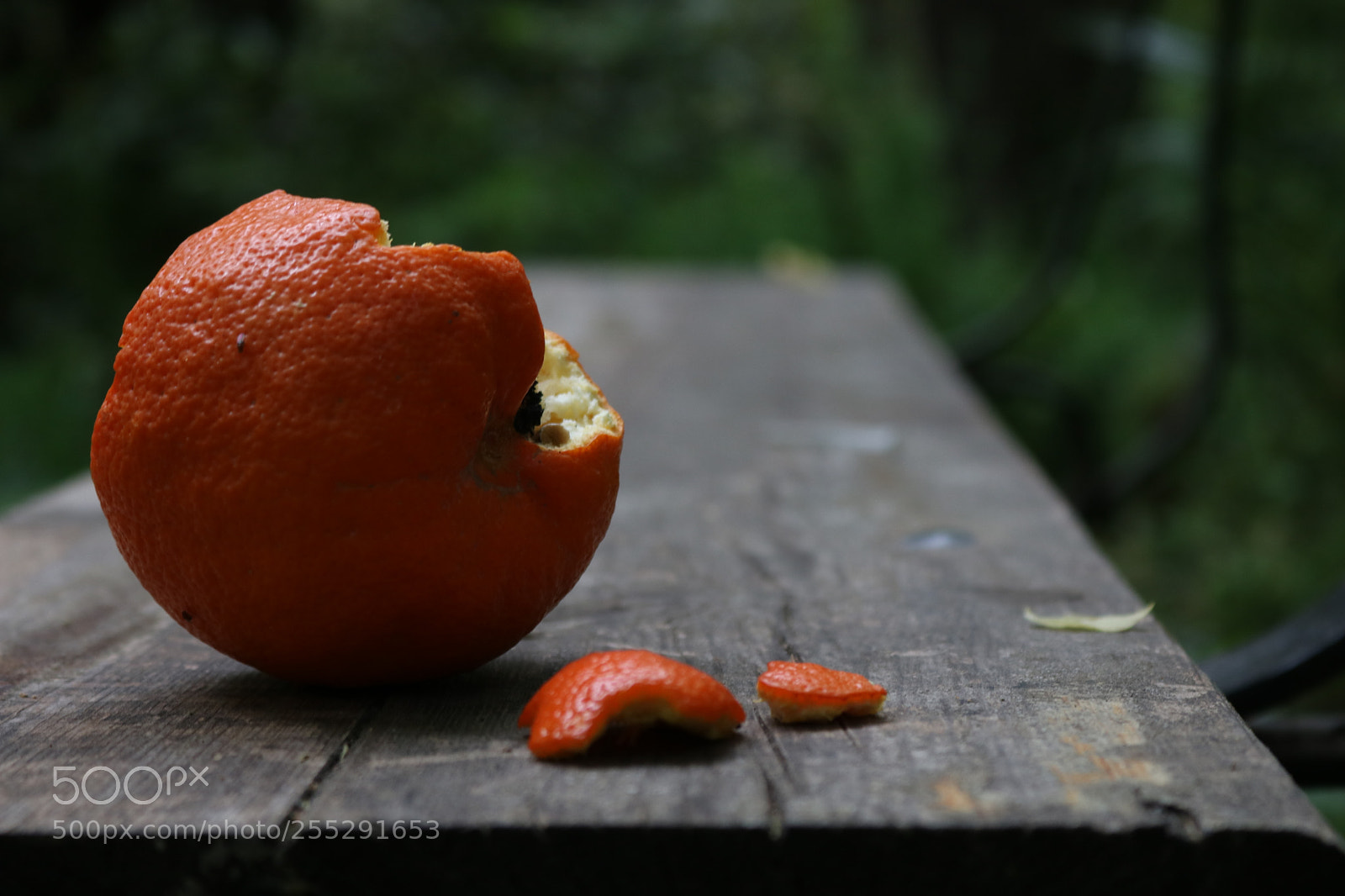 Canon EOS 750D (EOS Rebel T6i / EOS Kiss X8i) sample photo. Img photography