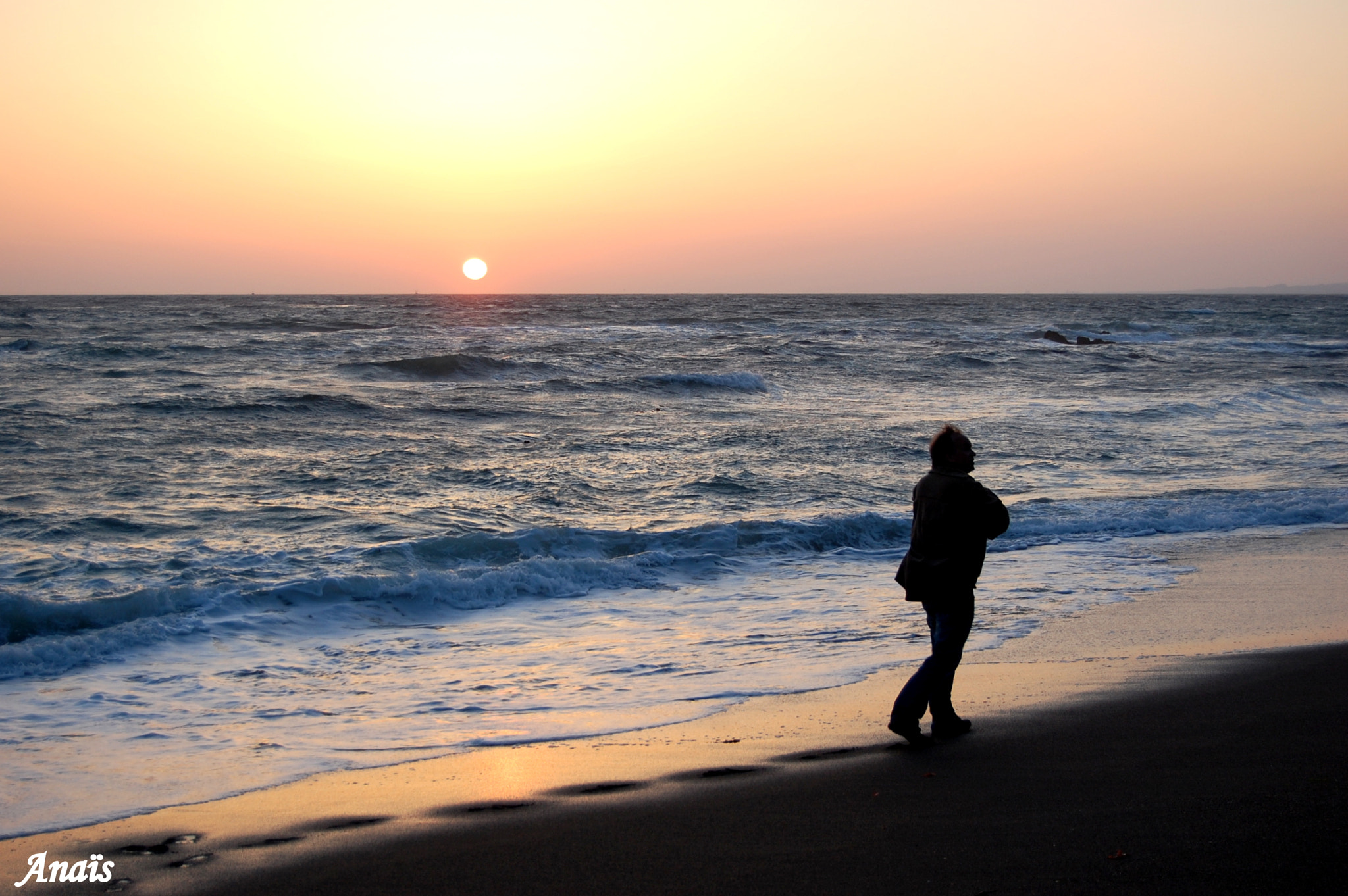 Nikon D40 sample photo. Alone photography