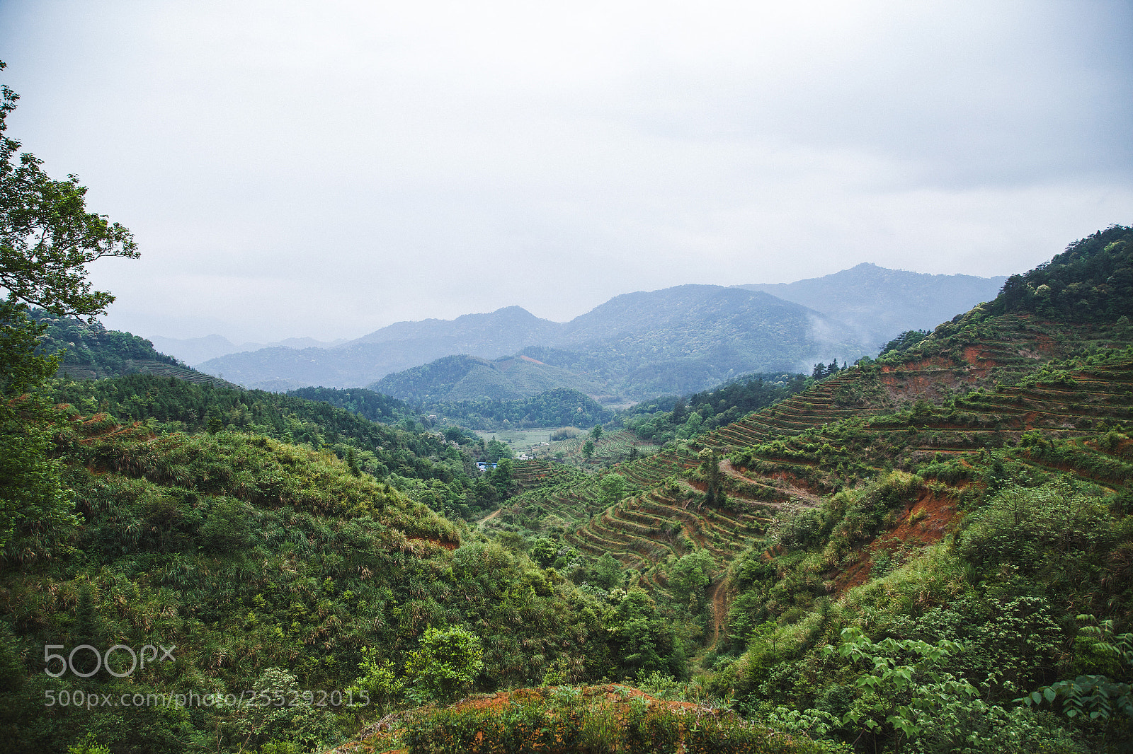 Canon EOS 6D sample photo. Img photography