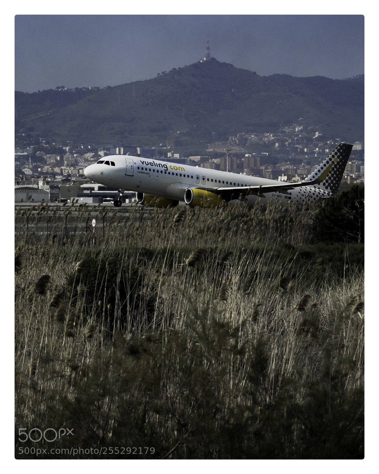 Canon EOS 1200D (EOS Rebel T5 / EOS Kiss X70 / EOS Hi) sample photo. Airport in the nature photography