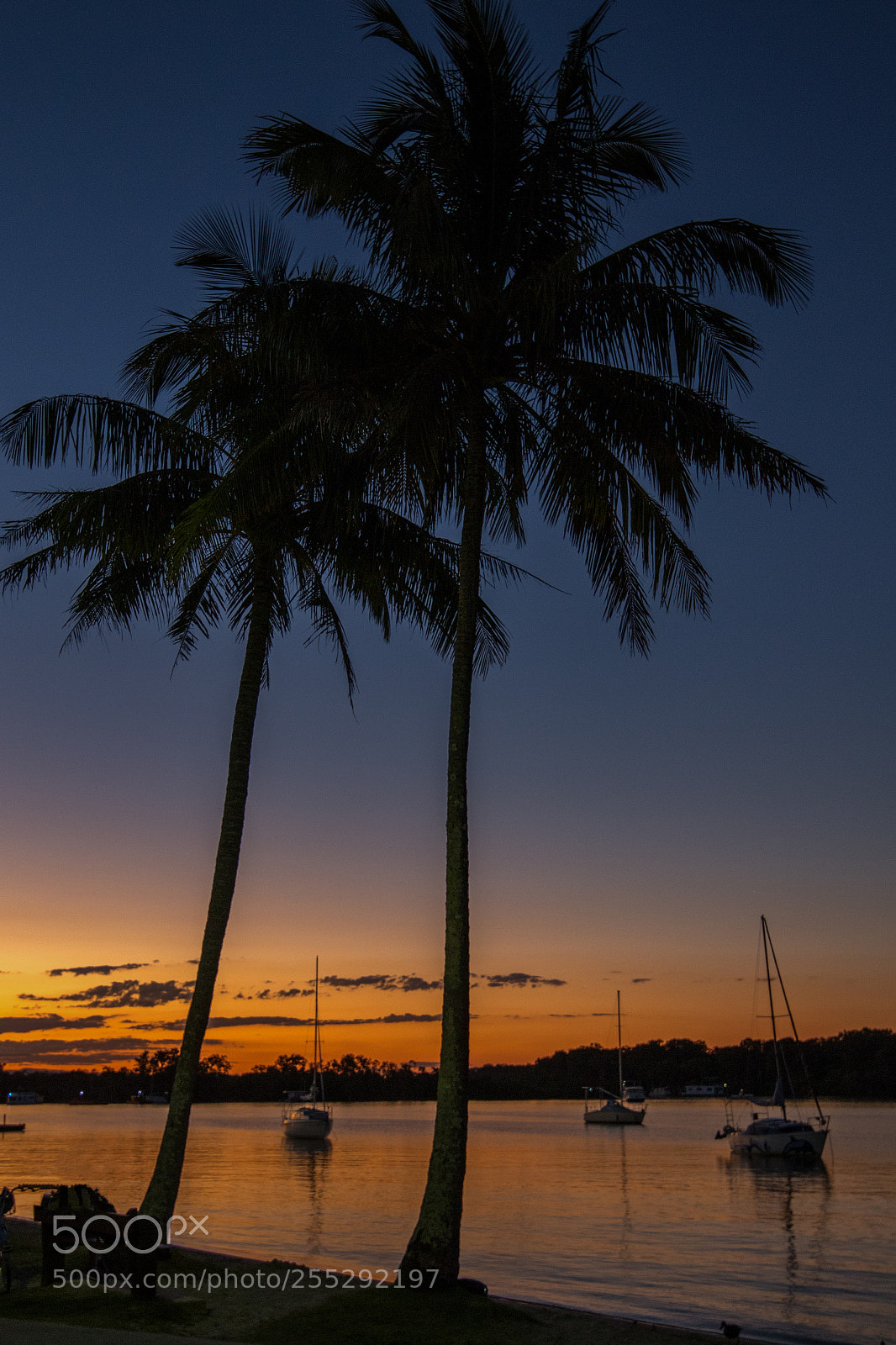 Canon EOS 7D Mark II sample photo. Noosa river boats photography