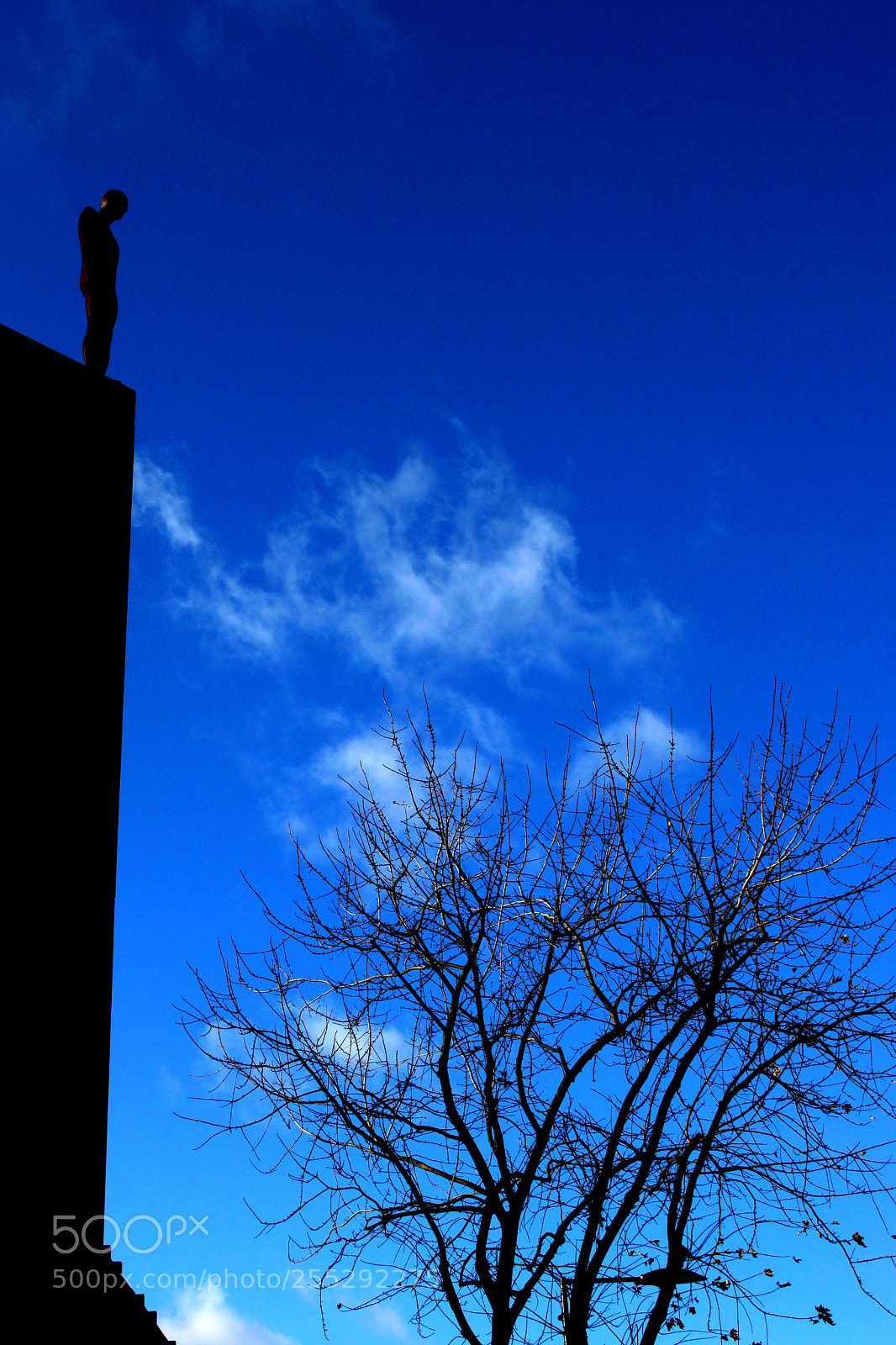 Canon EOS 500D (EOS Rebel T1i / EOS Kiss X3) sample photo. Img photography