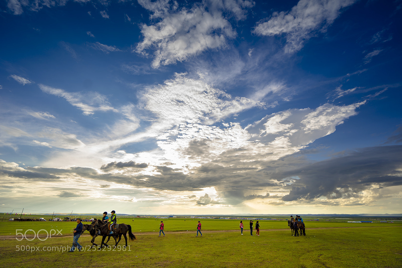 Sony a7R sample photo. Dsc photography
