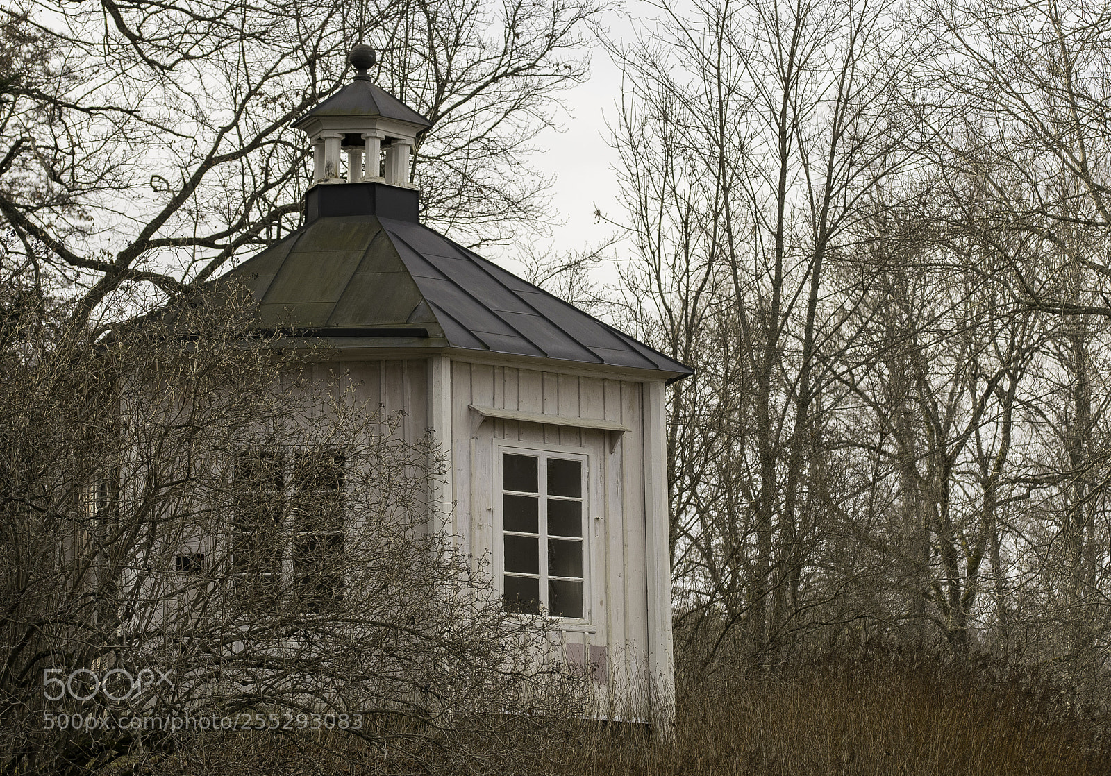 Nikon D5300 sample photo. City and buildings photography