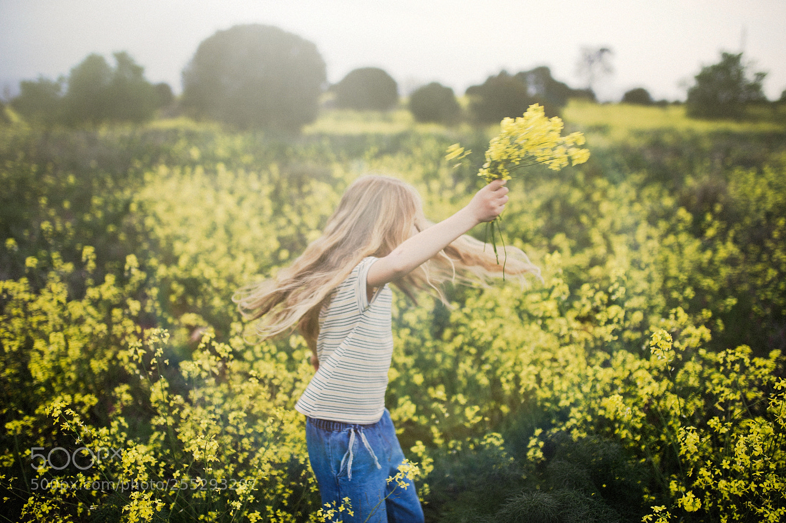 Canon EOS 6D sample photo. Yellow photography