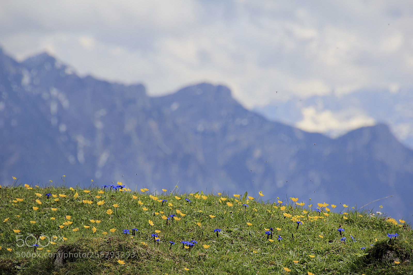 Canon EOS 60D sample photo. Spring in the mountains photography