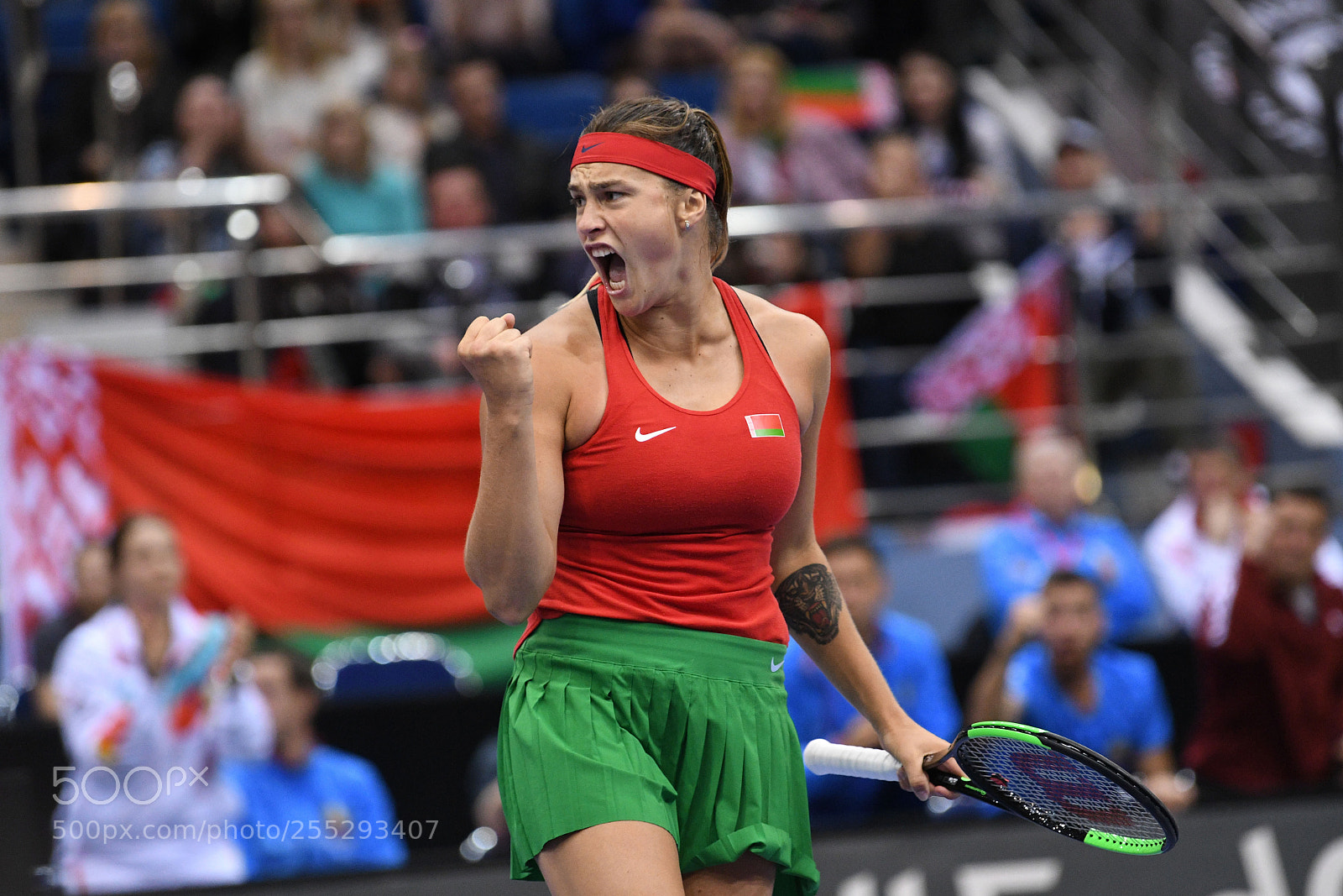 Nikon D500 sample photo. Aryna sabalenka blr celebrates photography