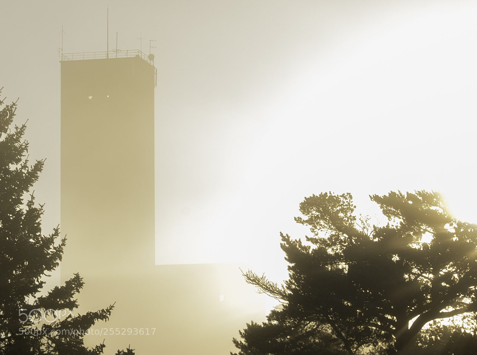 Nikon D5300 sample photo. City and buildings photography