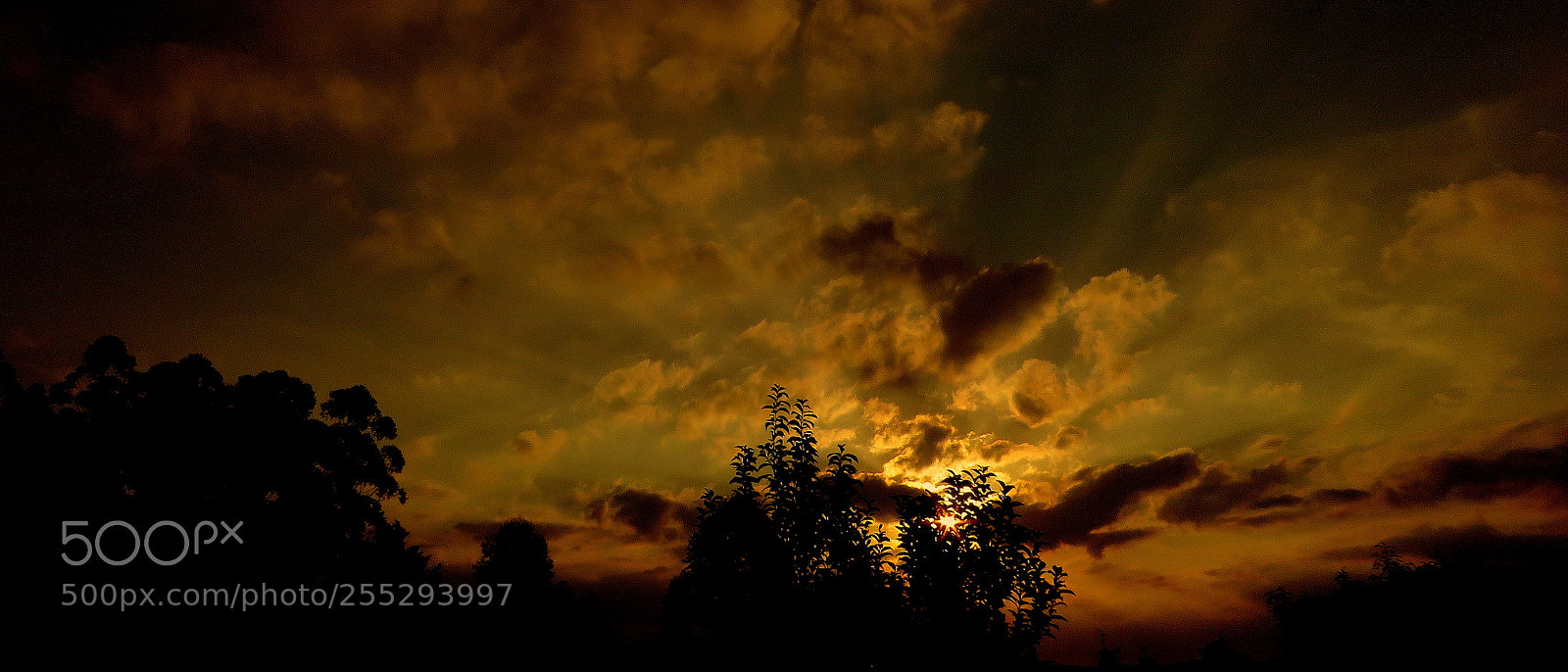 Canon PowerShot SX60 HS sample photo. Landscape .... photography