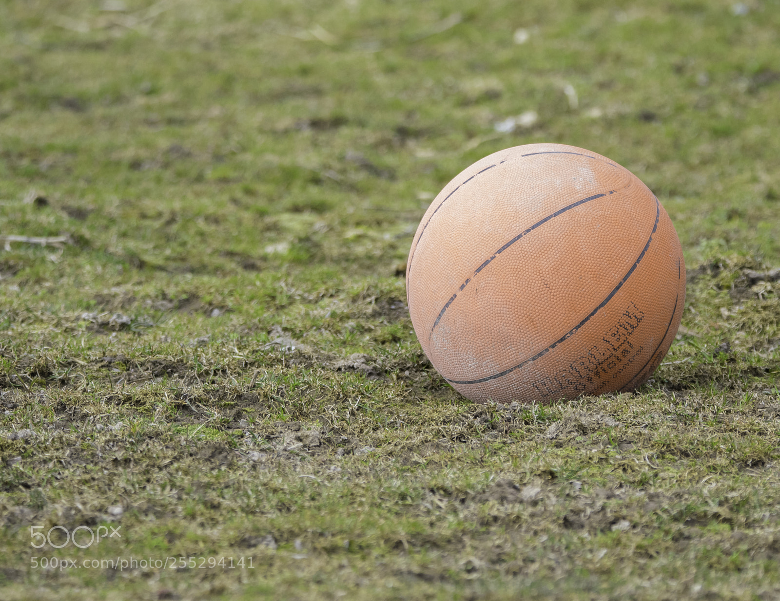 Nikon D5300 sample photo. Basketball o photography