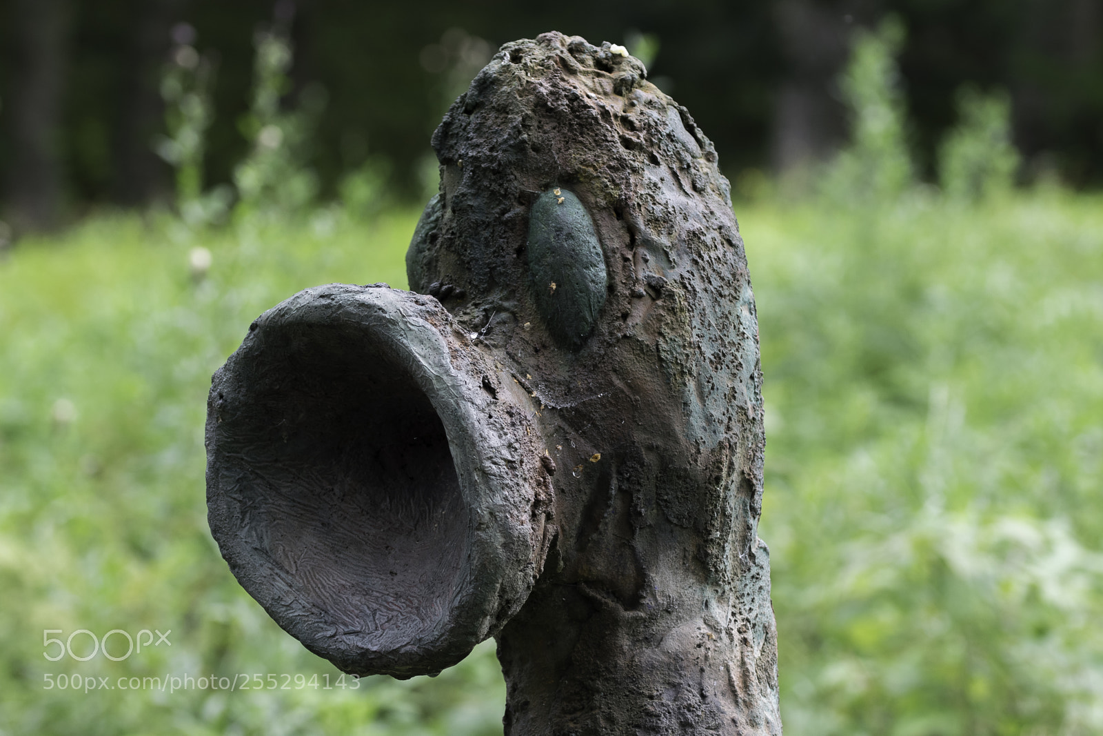 Nikon D5300 sample photo. Bigmouth o photography