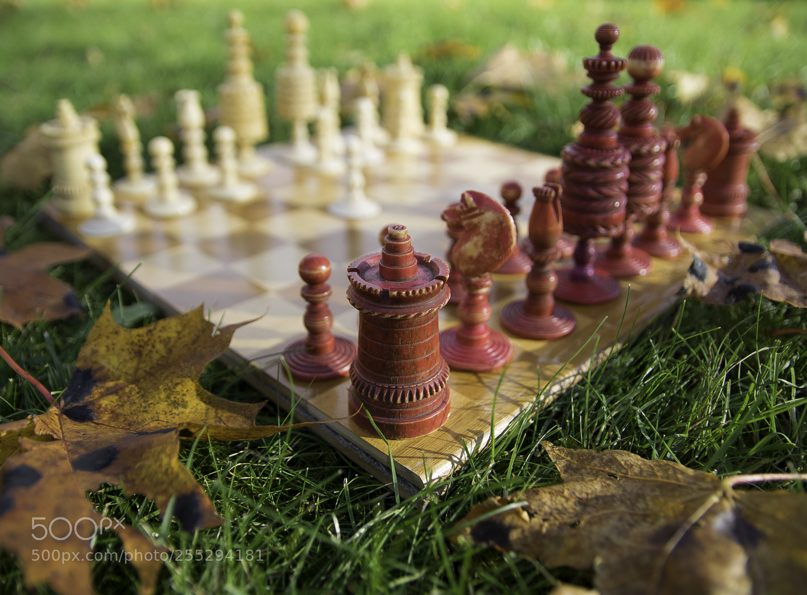 Nikon D5300 sample photo. Chess o photography