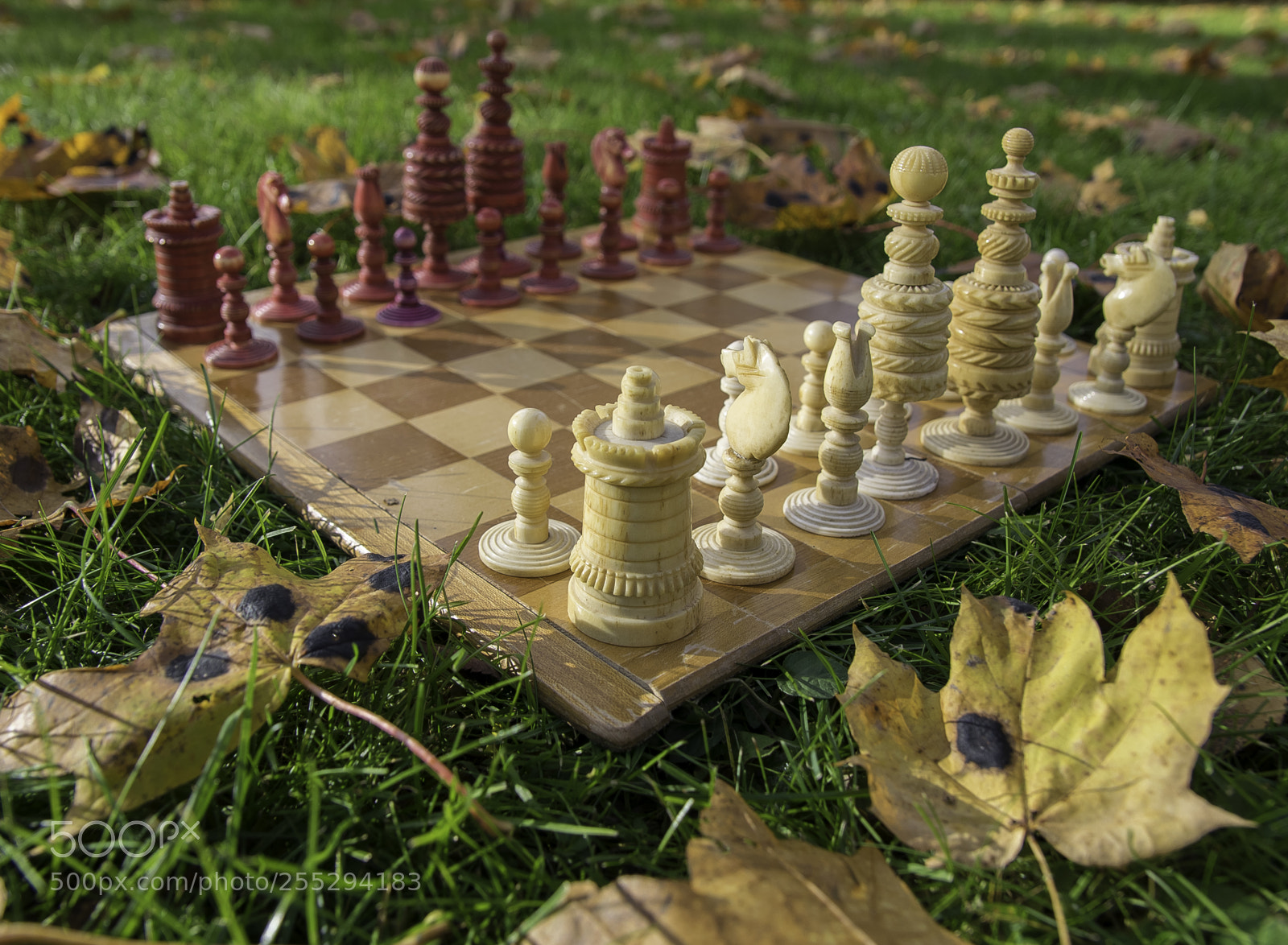 Nikon D5300 sample photo. Chess o photography