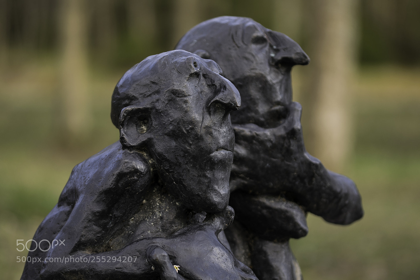 Nikon D5300 sample photo. Deep thoughts o photography