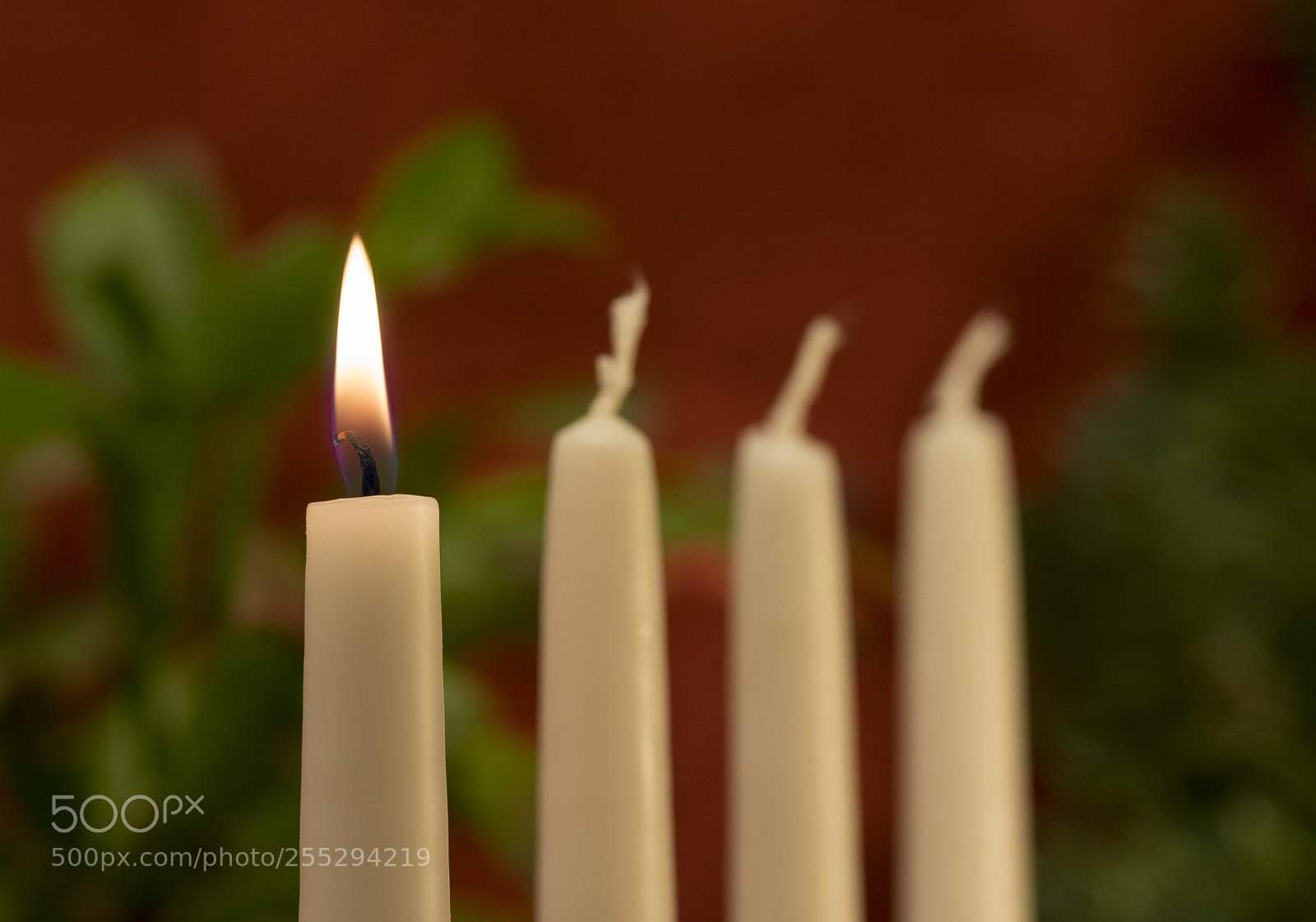 Nikon D5300 sample photo. First advent o photography
