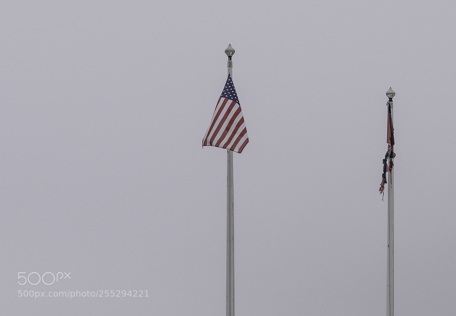 Nikon D5300 sample photo. Flags o photography
