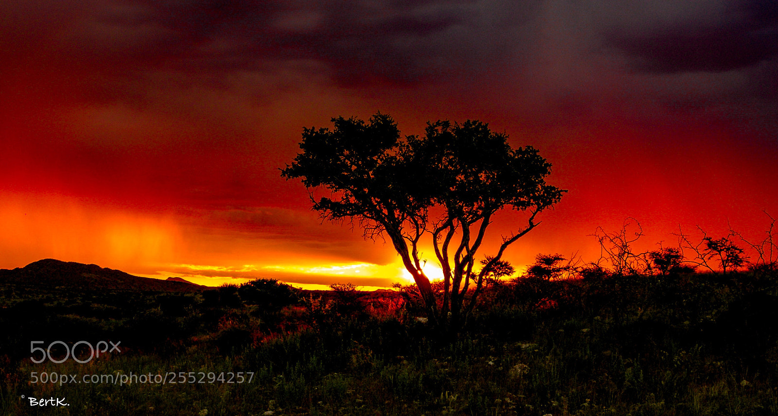 Nikon D50 sample photo. Sundown in namibia. photography