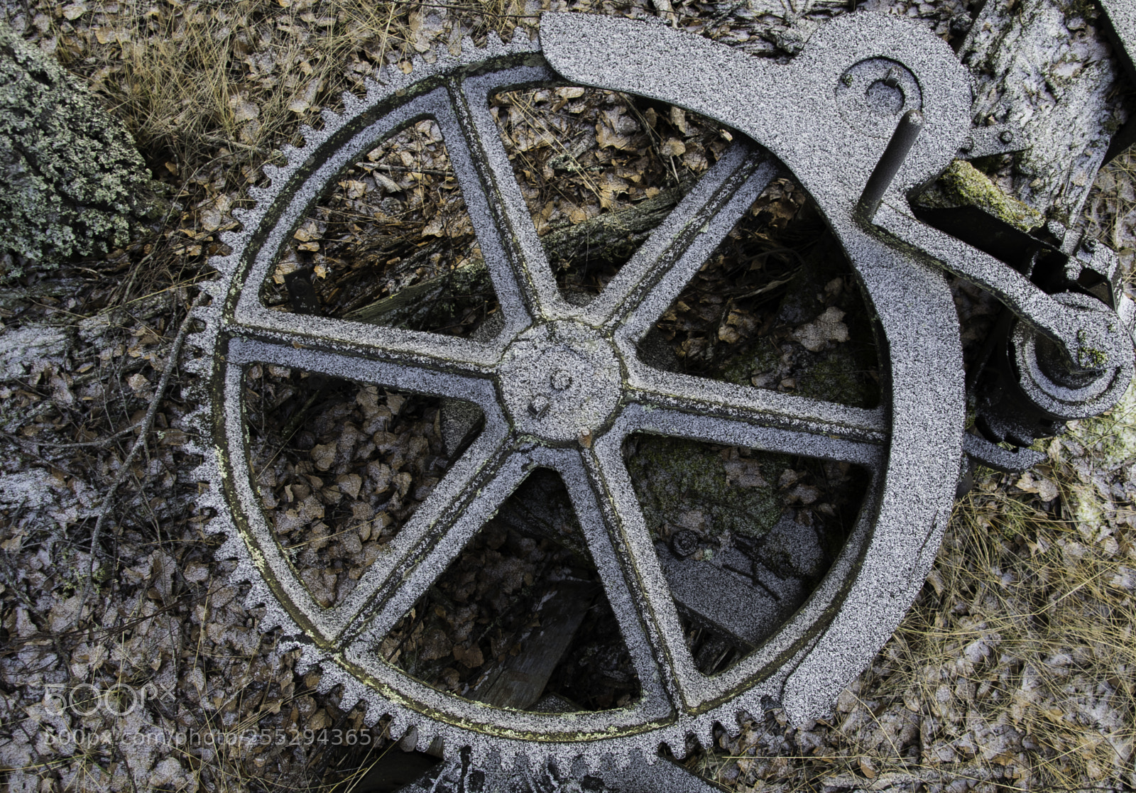 Nikon D5300 sample photo. Wheel o photography