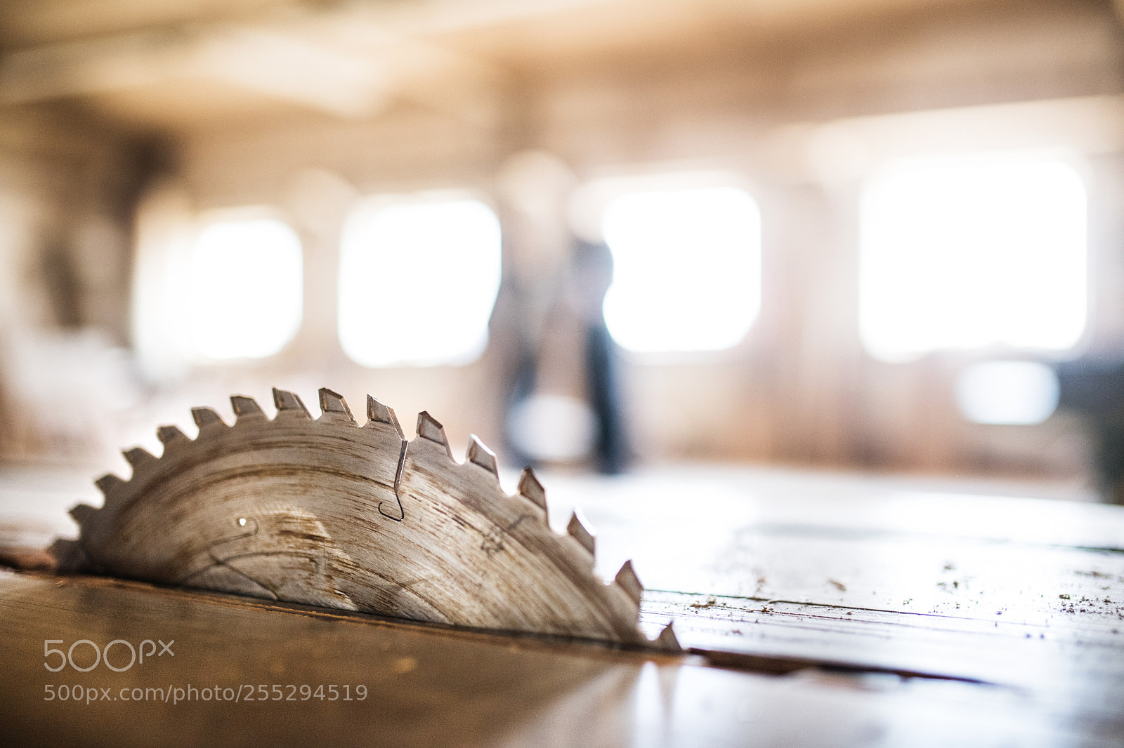 Nikon D5 sample photo. A circular saw blade photography