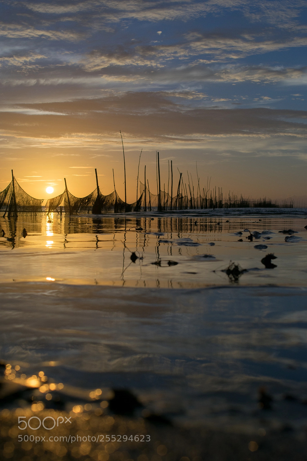 Nikon D3400 sample photo. Edgewater sunset photography