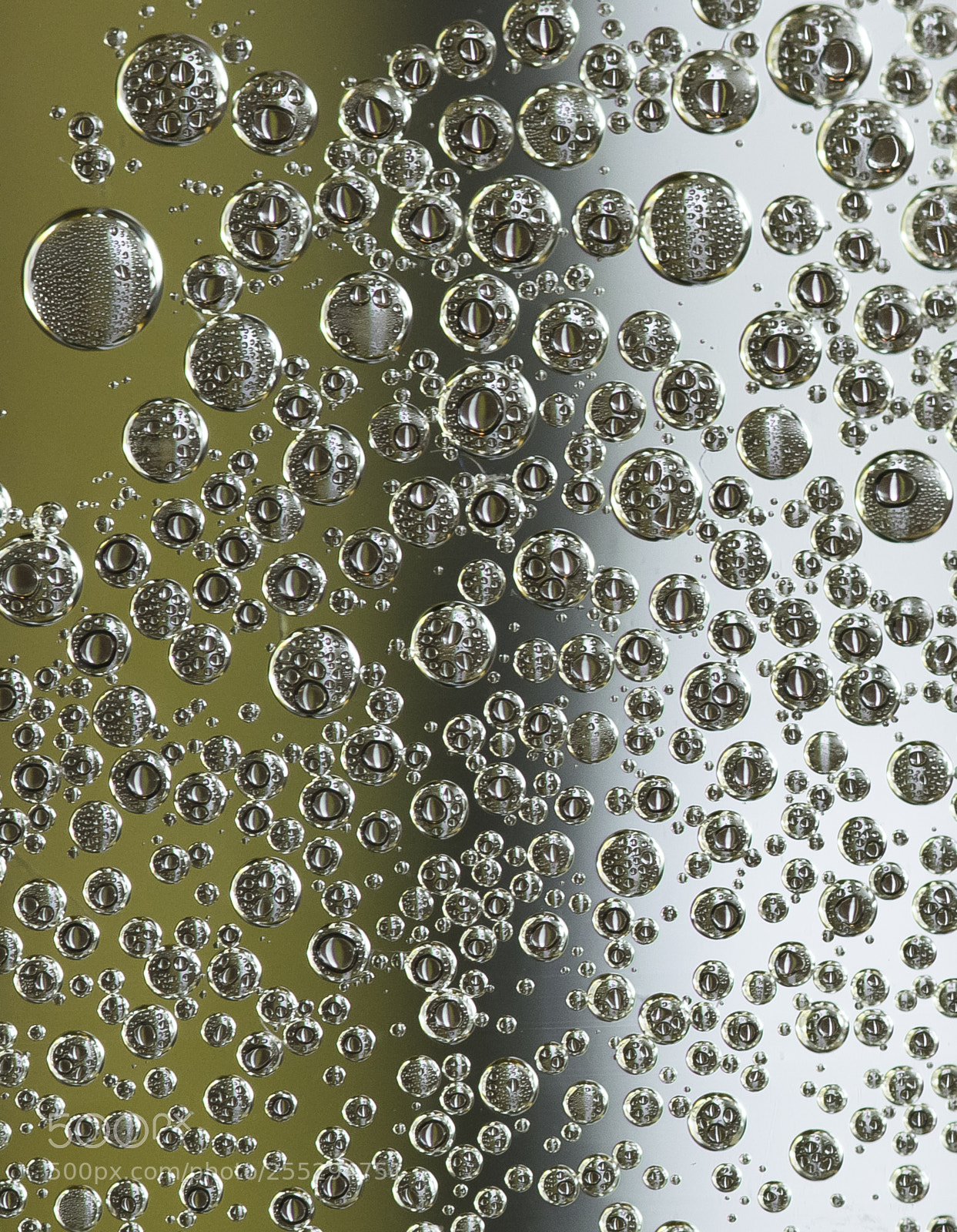 Nikon D5300 sample photo. Macro misc photography