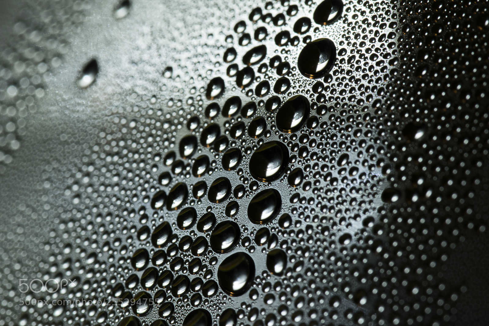 Nikon D5300 sample photo. Macro misc photography
