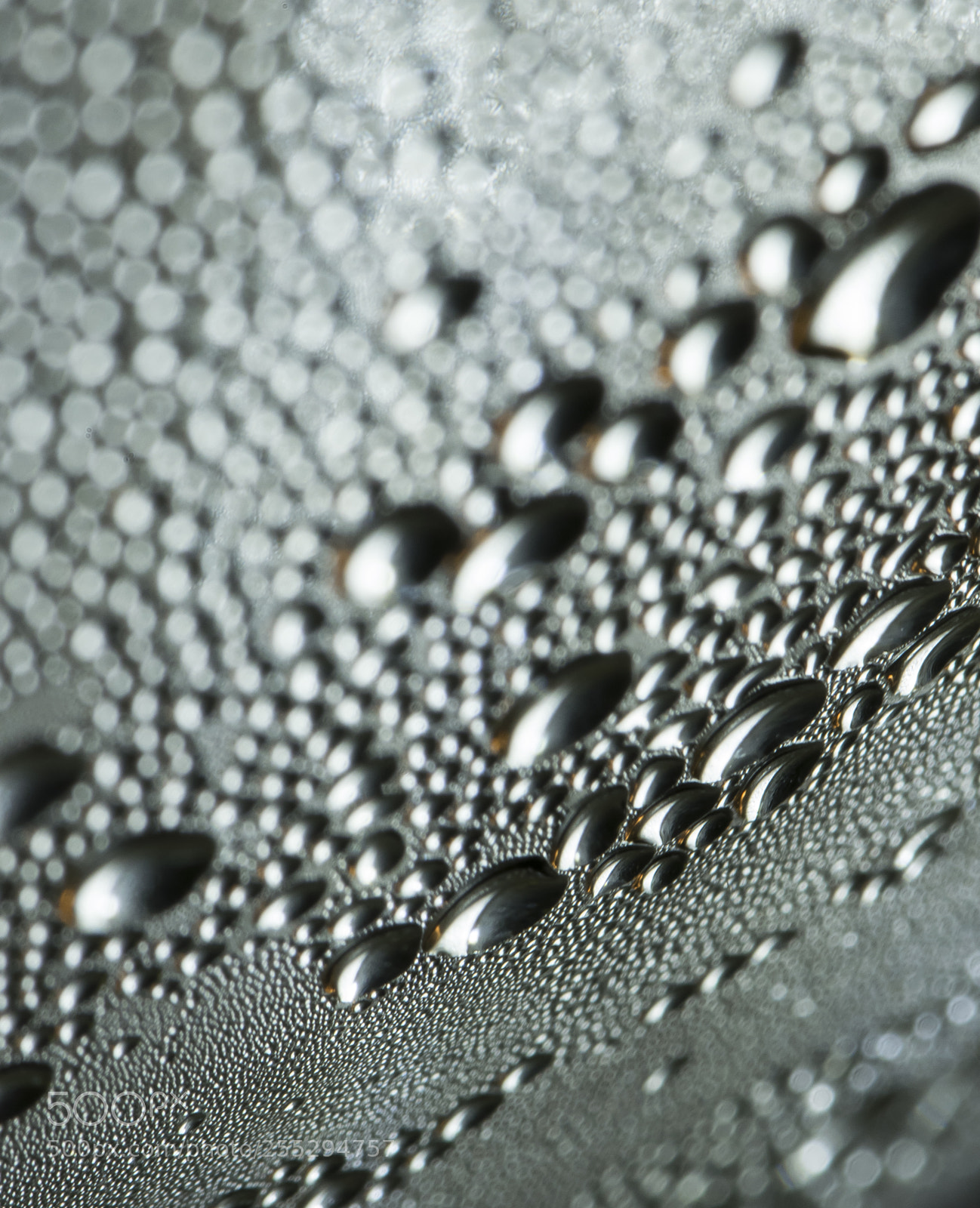 Nikon D5300 sample photo. Macro misc photography