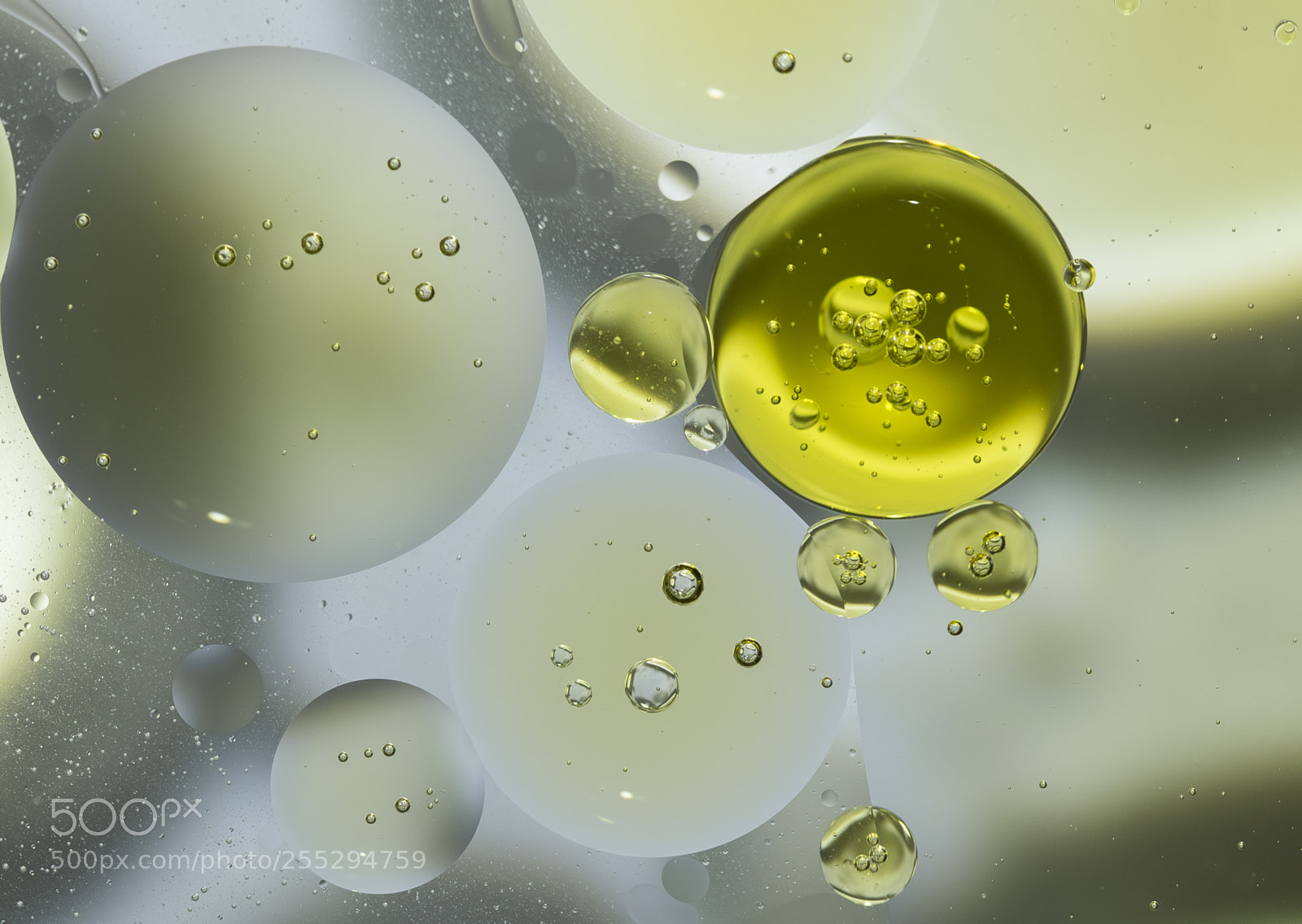 Nikon D5300 sample photo. Macro misc photography