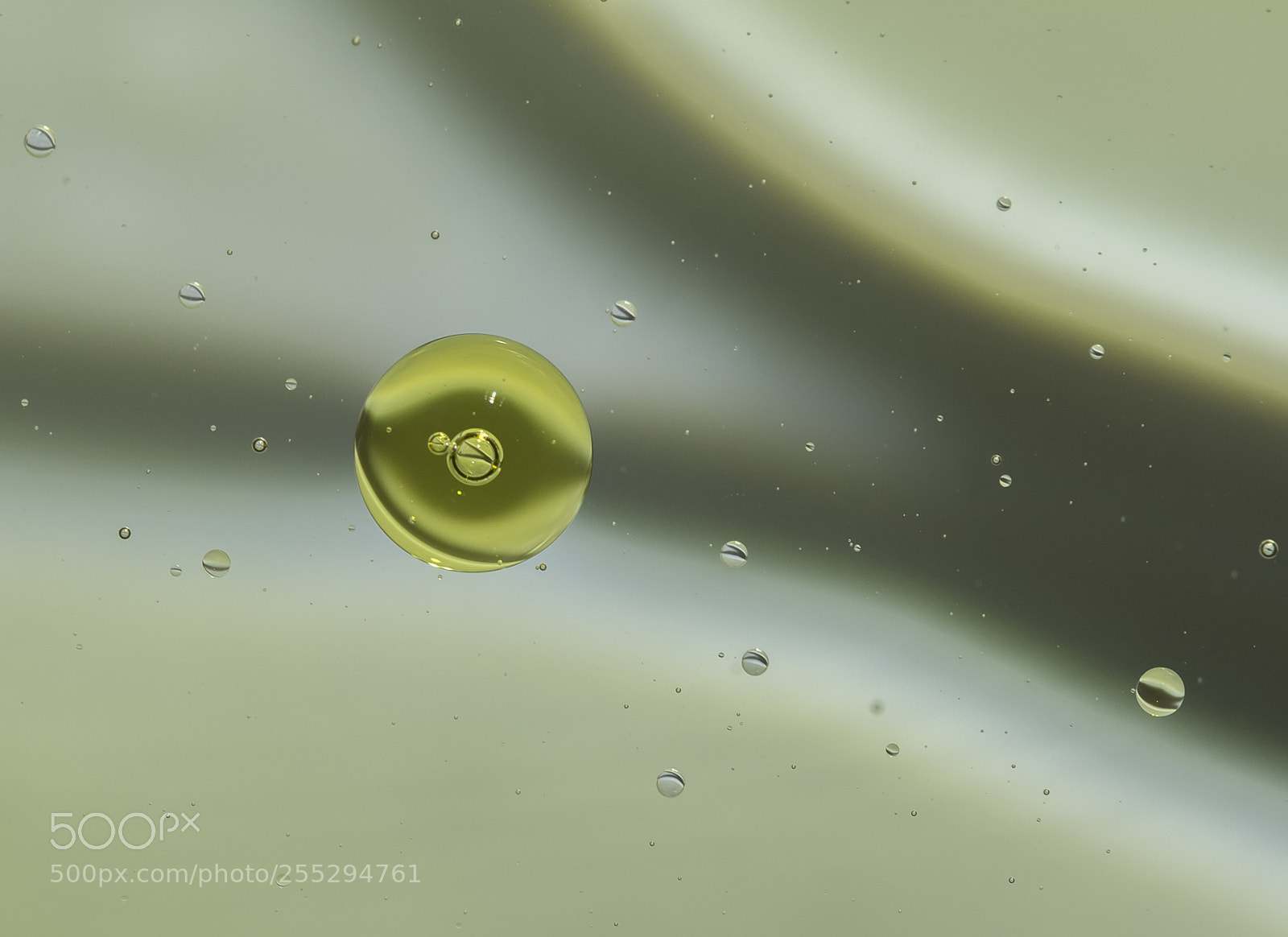 Nikon D5300 sample photo. Macro misc photography