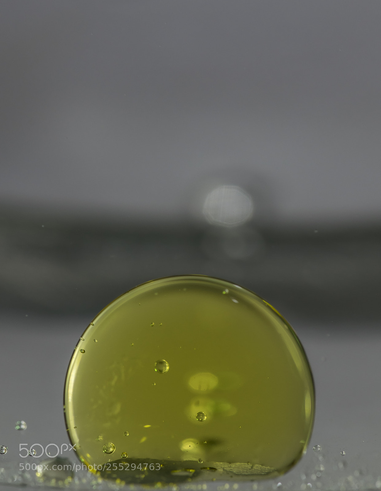 Nikon D5300 sample photo. Macro misc photography