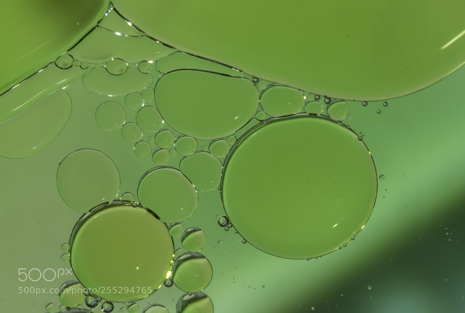 Nikon D5300 sample photo. Macro misc photography