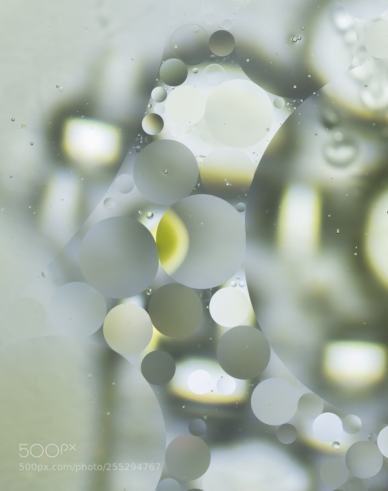 Nikon D5300 sample photo. Macro misc photography