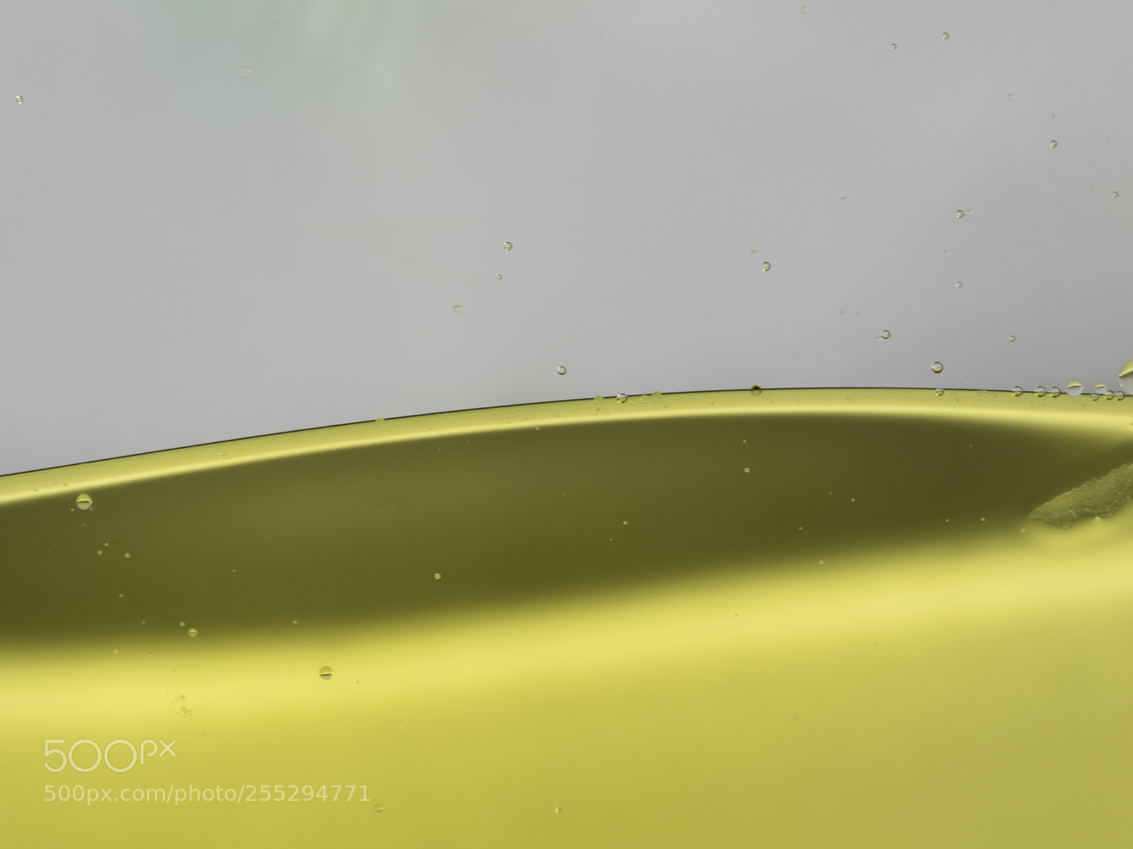 Nikon D5300 sample photo. Macro misc photography