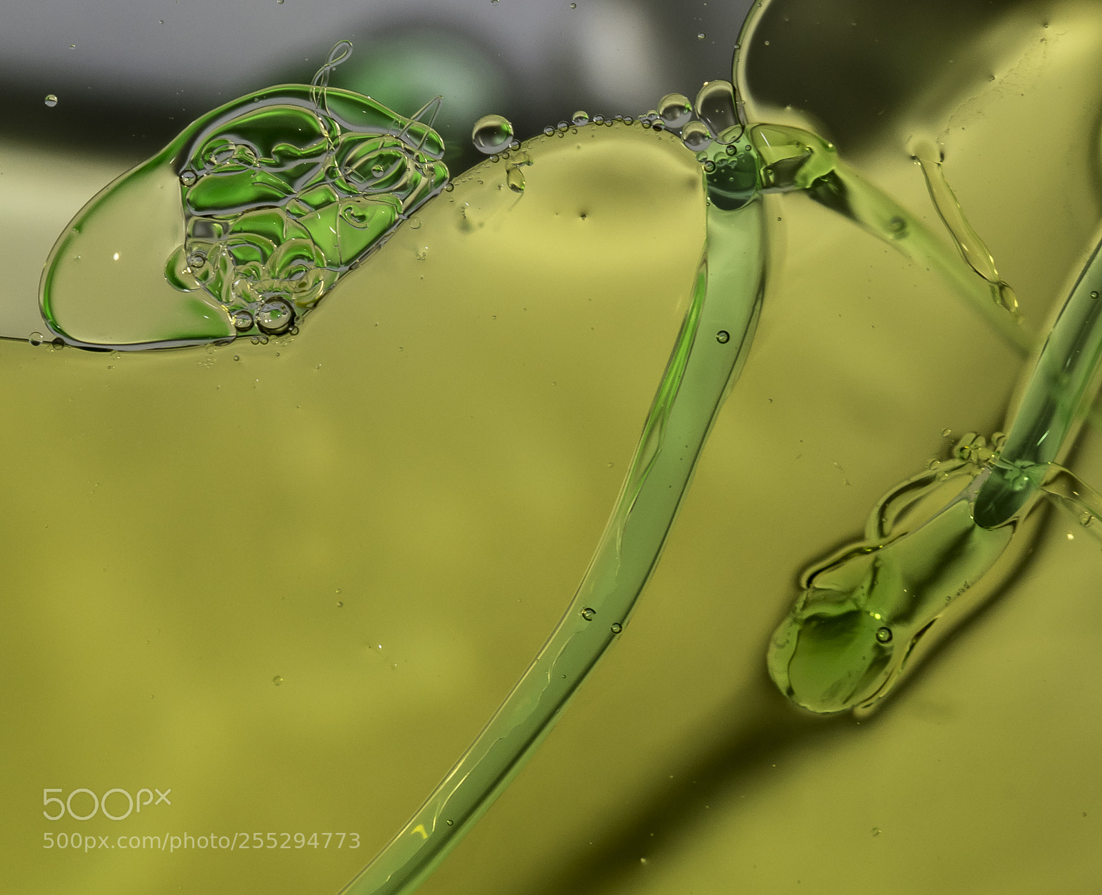 Nikon D5300 sample photo. Macro misc photography