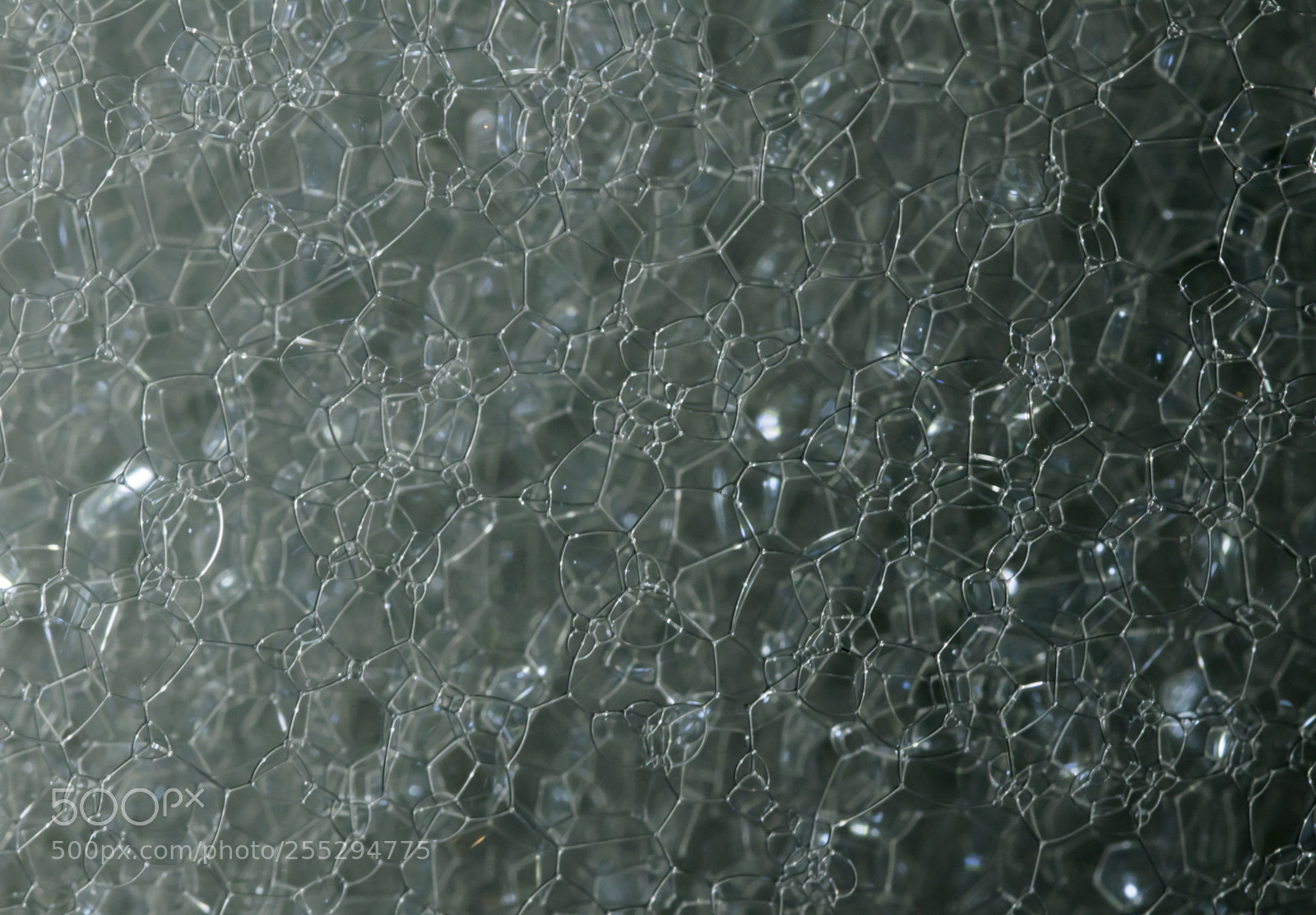 Nikon D5300 sample photo. Macro misc photography