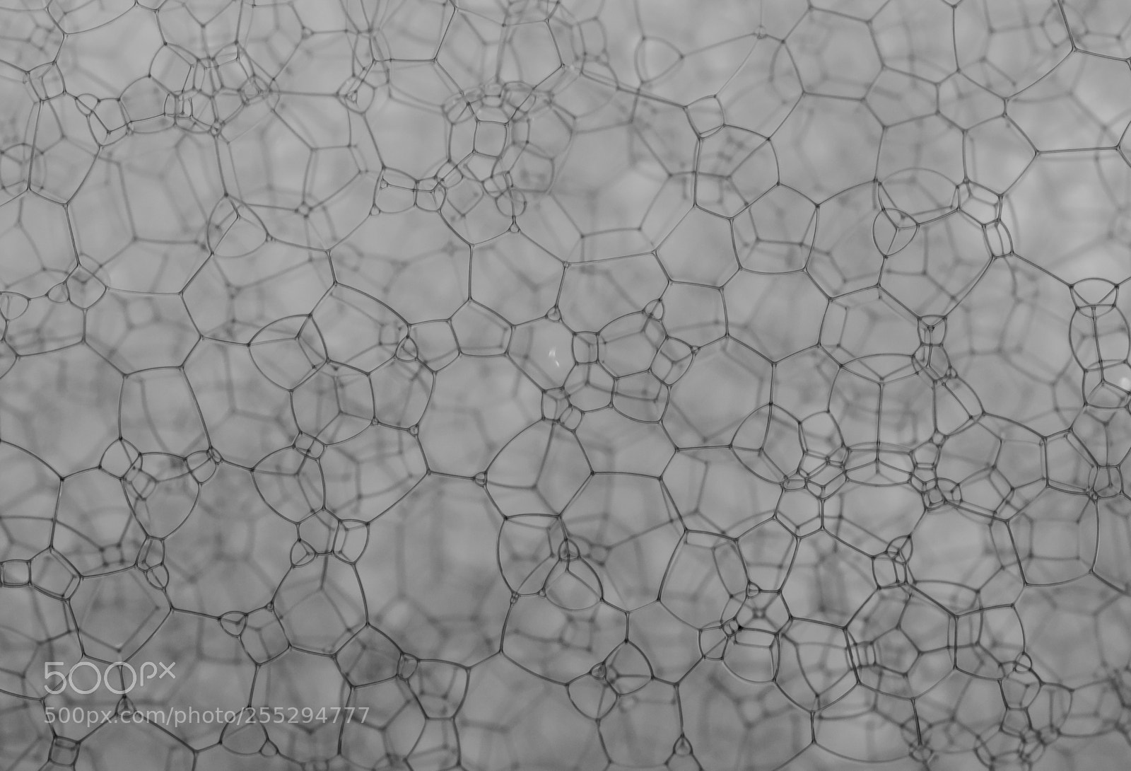 Nikon D5300 sample photo. Macro misc photography