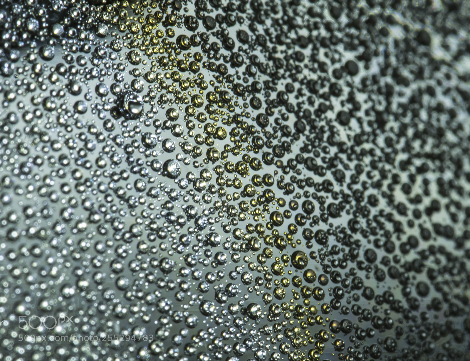 Nikon D5300 sample photo. Macro misc photography