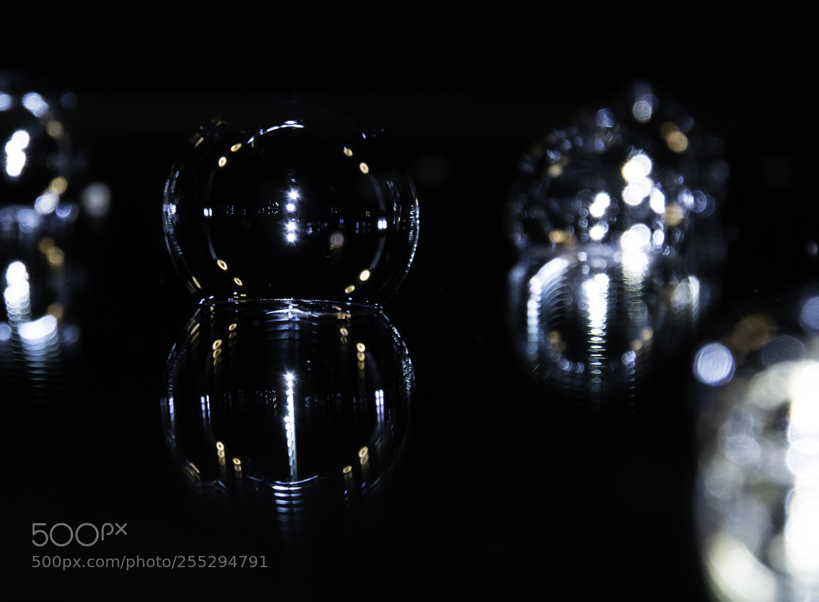 Nikon D5300 sample photo. Macro misc photography