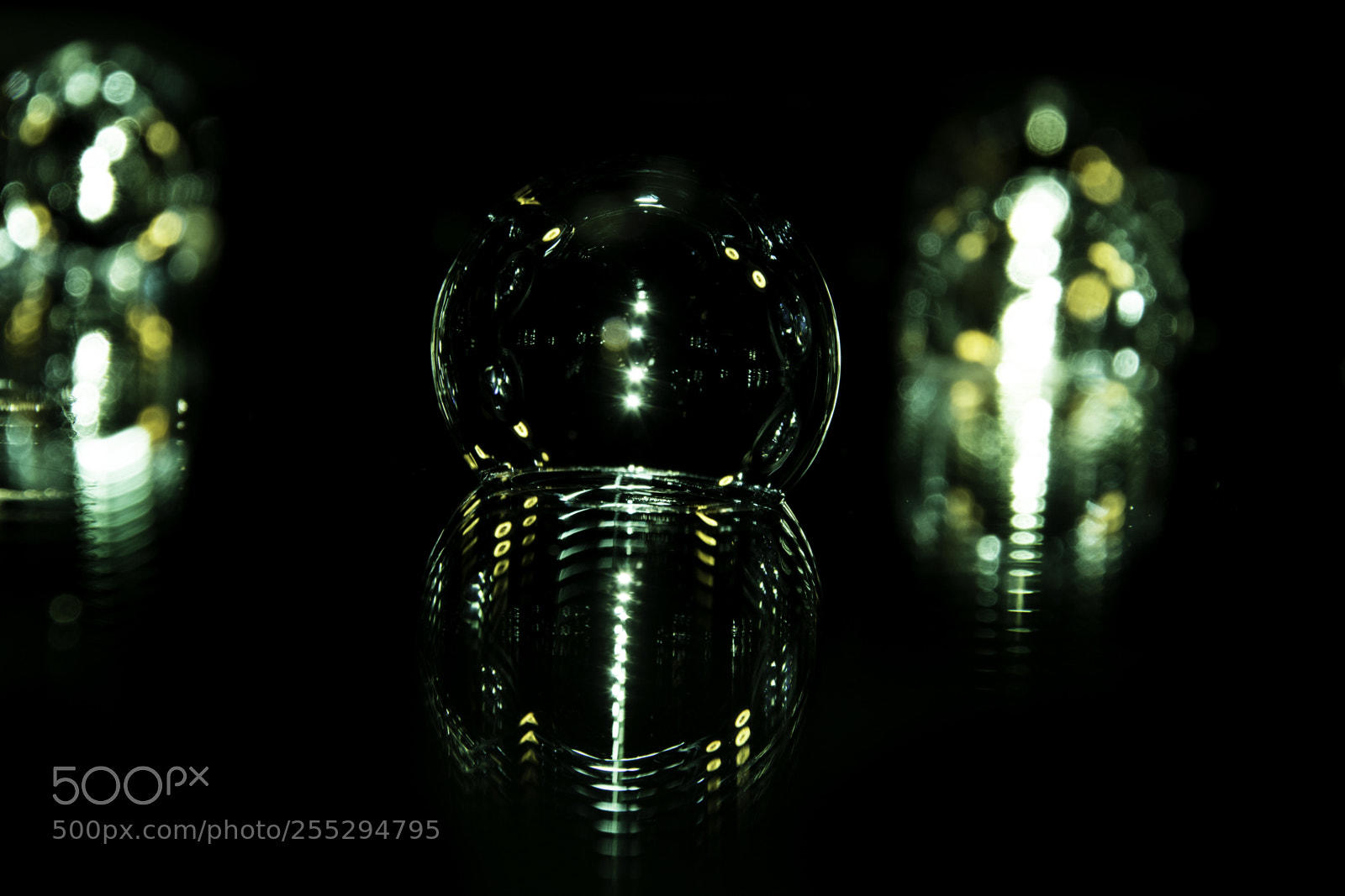 Nikon D5300 sample photo. Macro misc photography