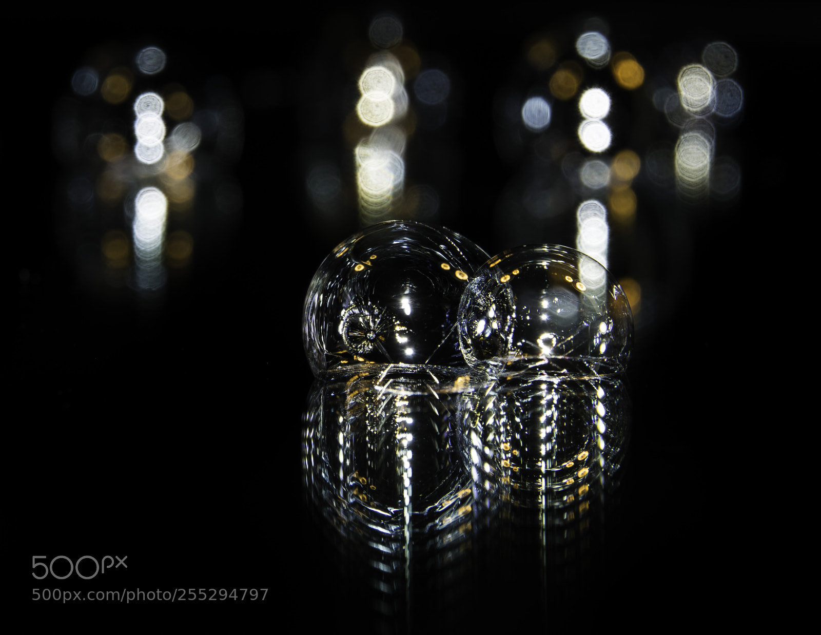 Nikon D5300 sample photo. Macro misc photography