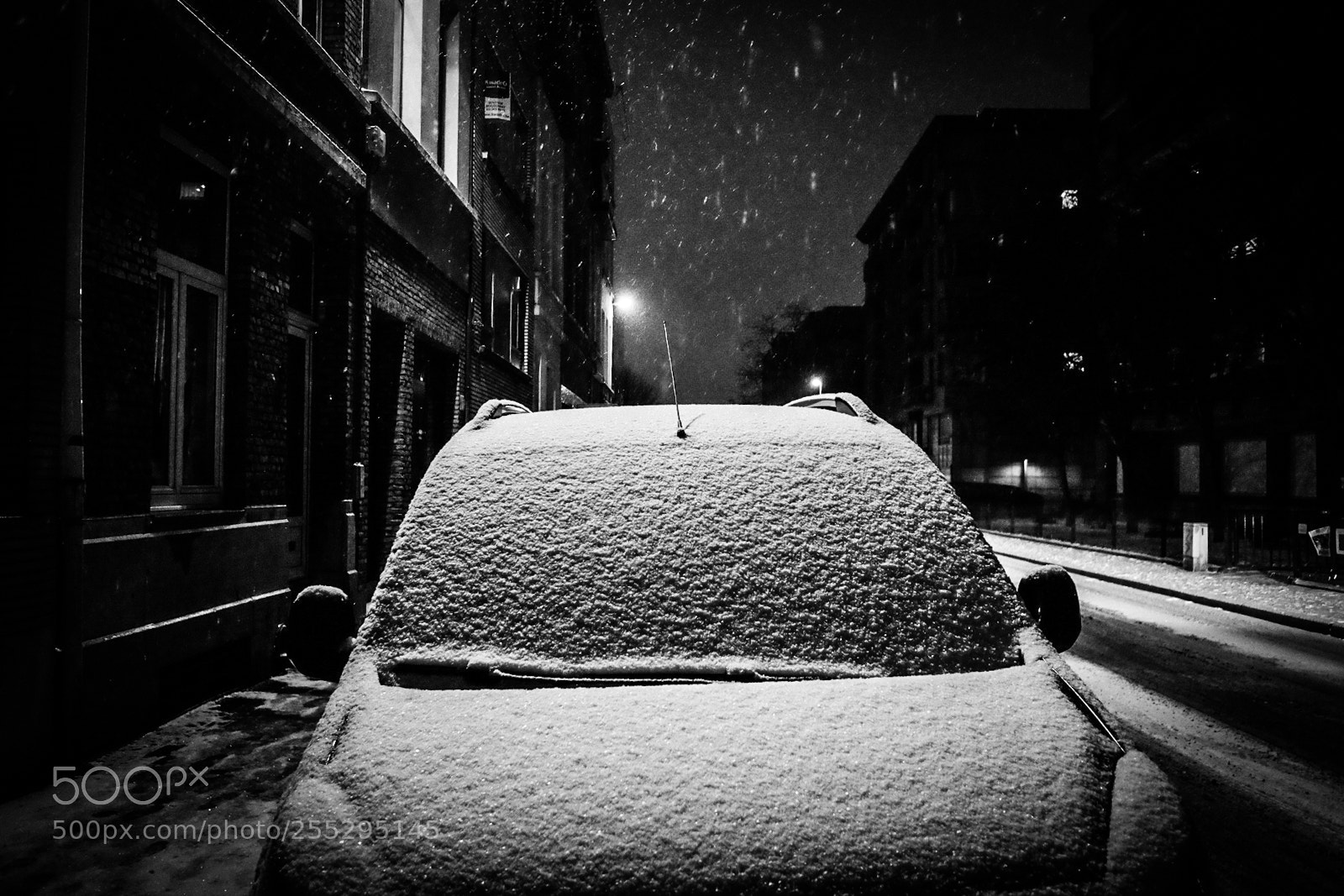Fujifilm X70 sample photo. Snow white photography