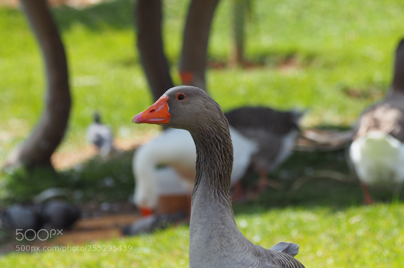 Olympus OM-D E-M5 II sample photo. Untitled photography