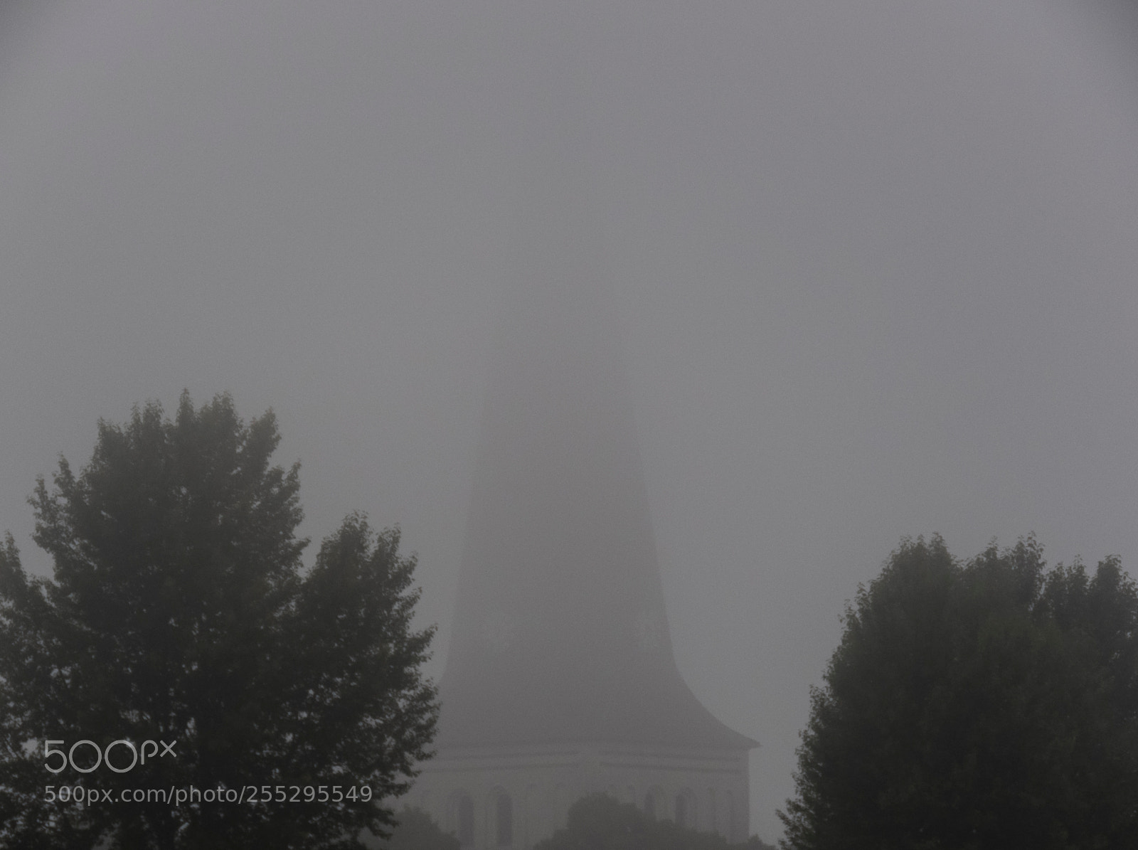 Canon PowerShot SX60 HS sample photo. Fog o photography