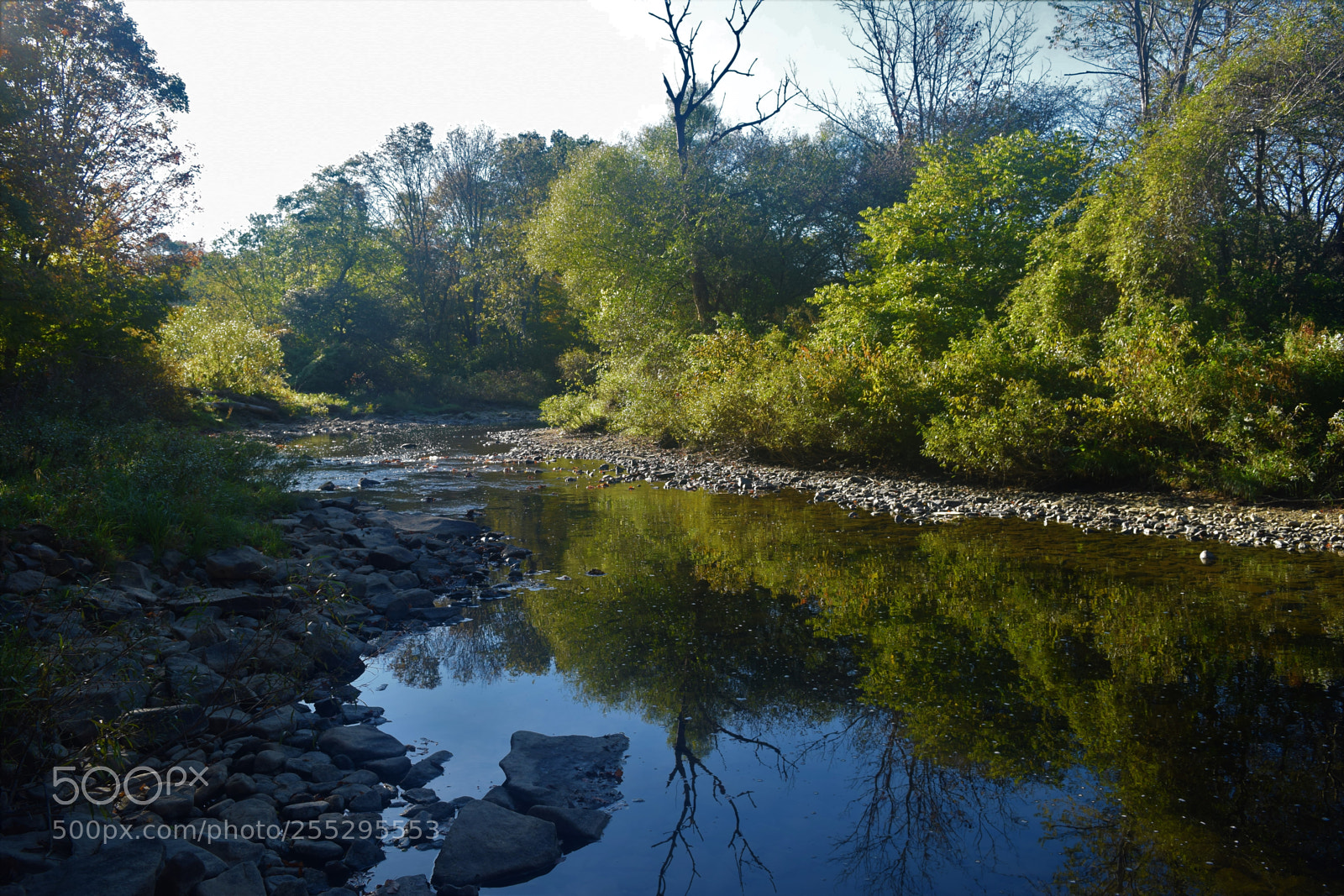Nikon D3300 sample photo. Reflection on a peaceful photography