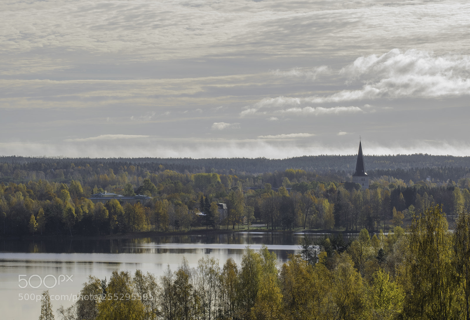 Nikon D5300 sample photo. Nature o photography