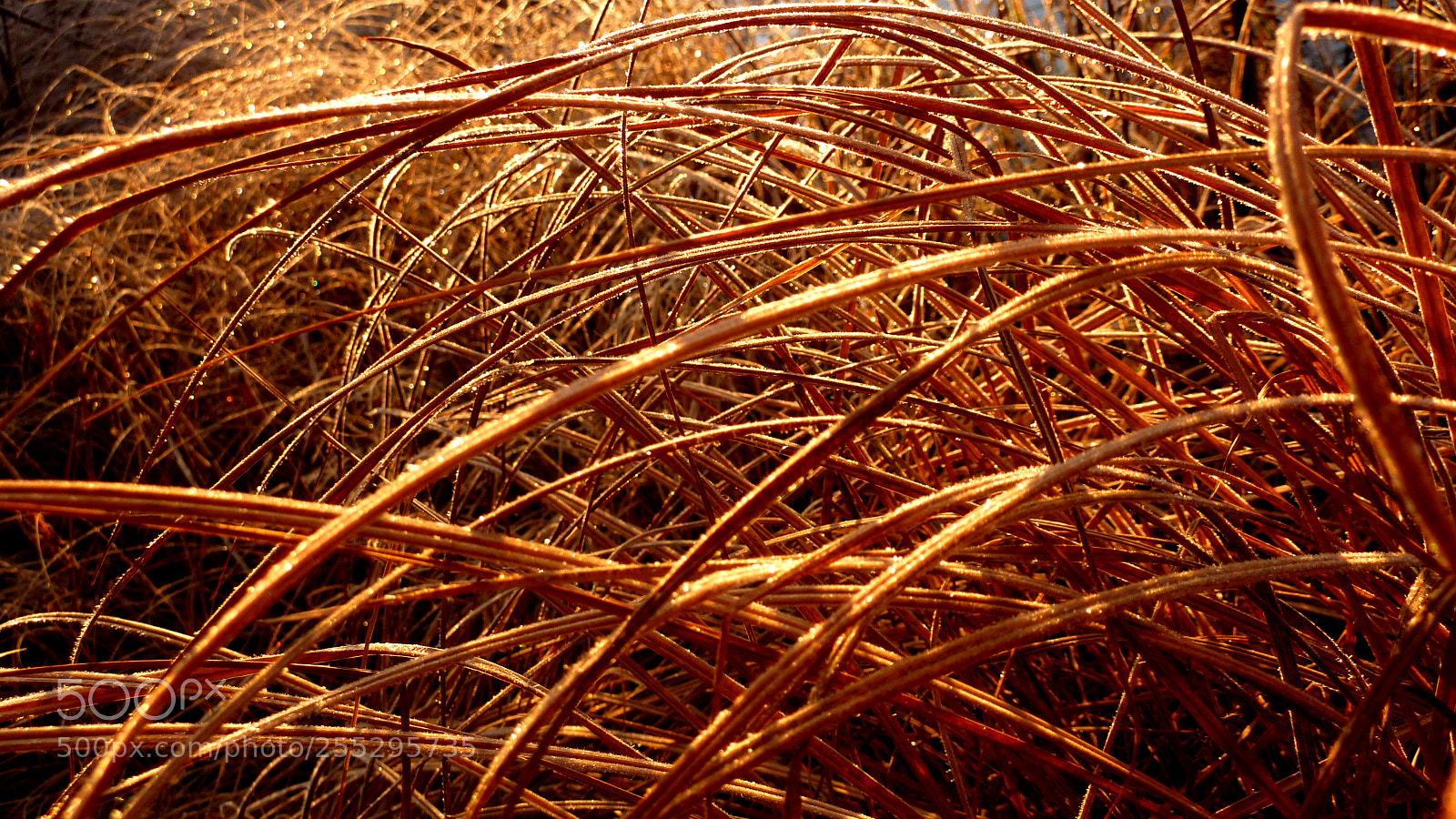 Panasonic DMC-TZ7 sample photo. Nature o photography
