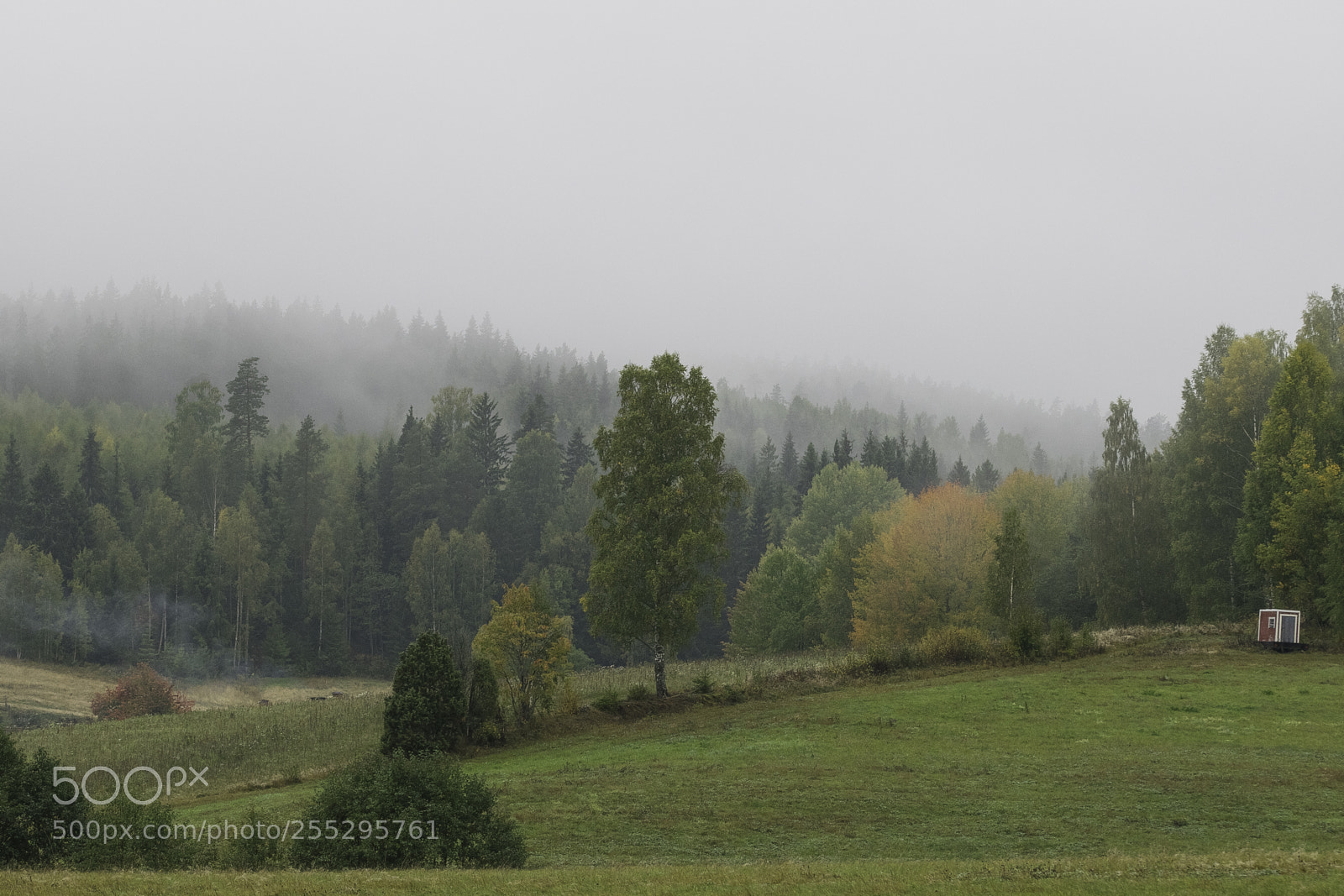 Nikon D5300 sample photo. Nature o photography