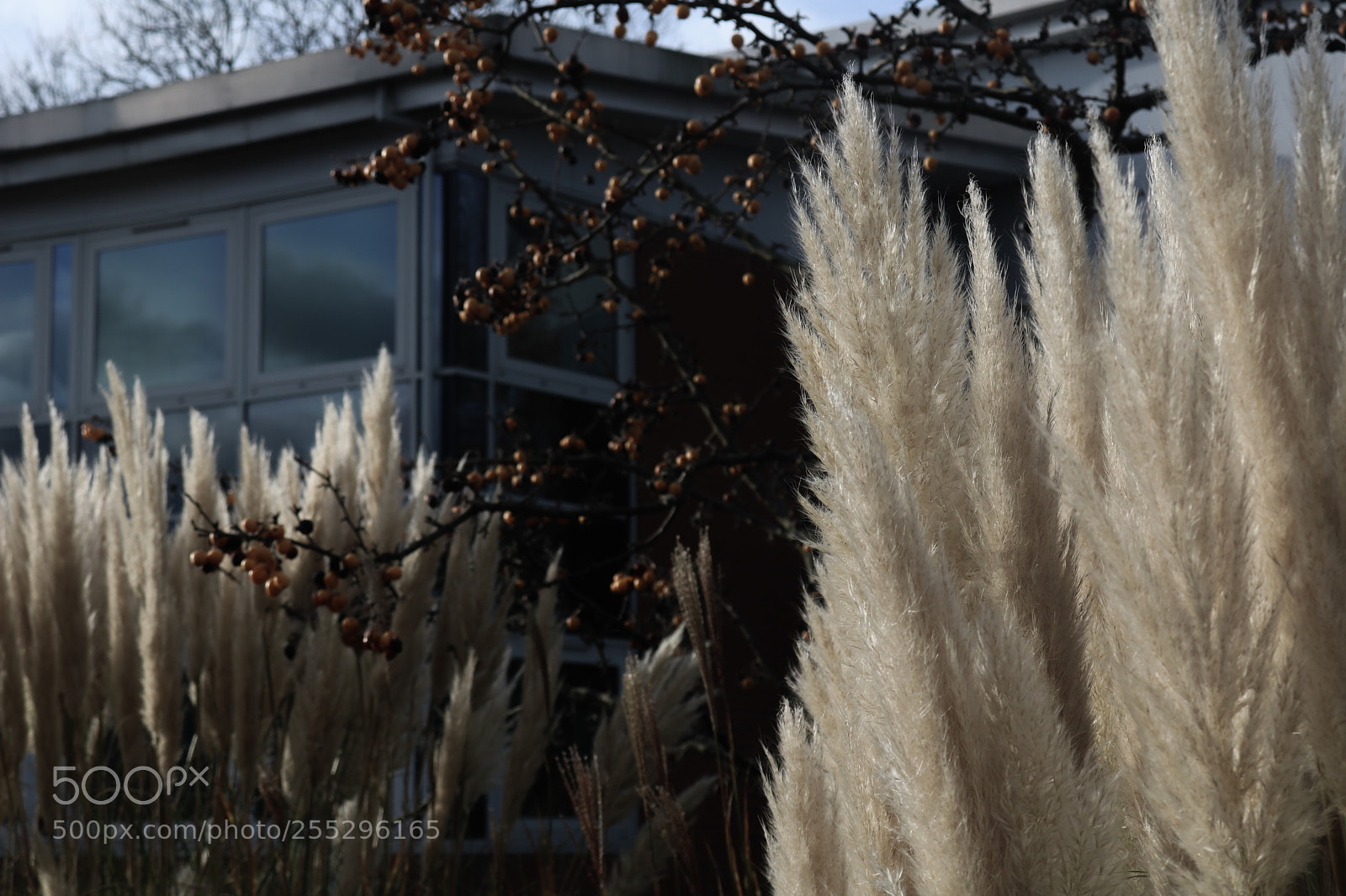 Canon EOS 750D (EOS Rebel T6i / EOS Kiss X8i) sample photo. Img photography