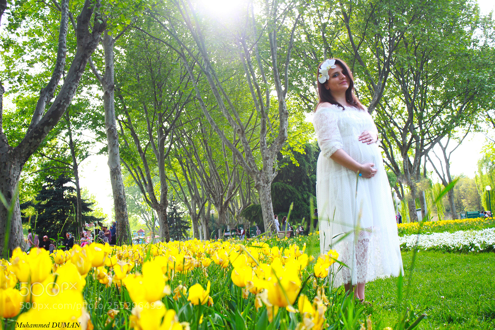 Canon EOS 550D (EOS Rebel T2i / EOS Kiss X4) sample photo. Pregnancy photography
