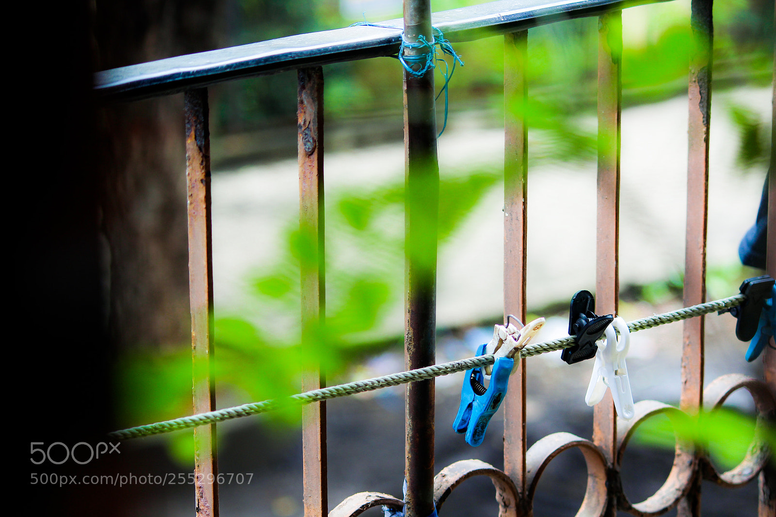 Canon EOS 700D (EOS Rebel T5i / EOS Kiss X7i) sample photo. Background photography